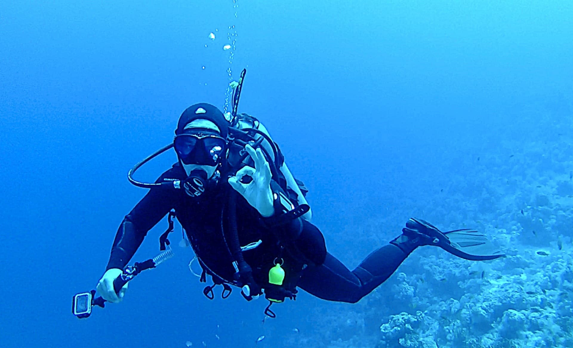 Diving trips