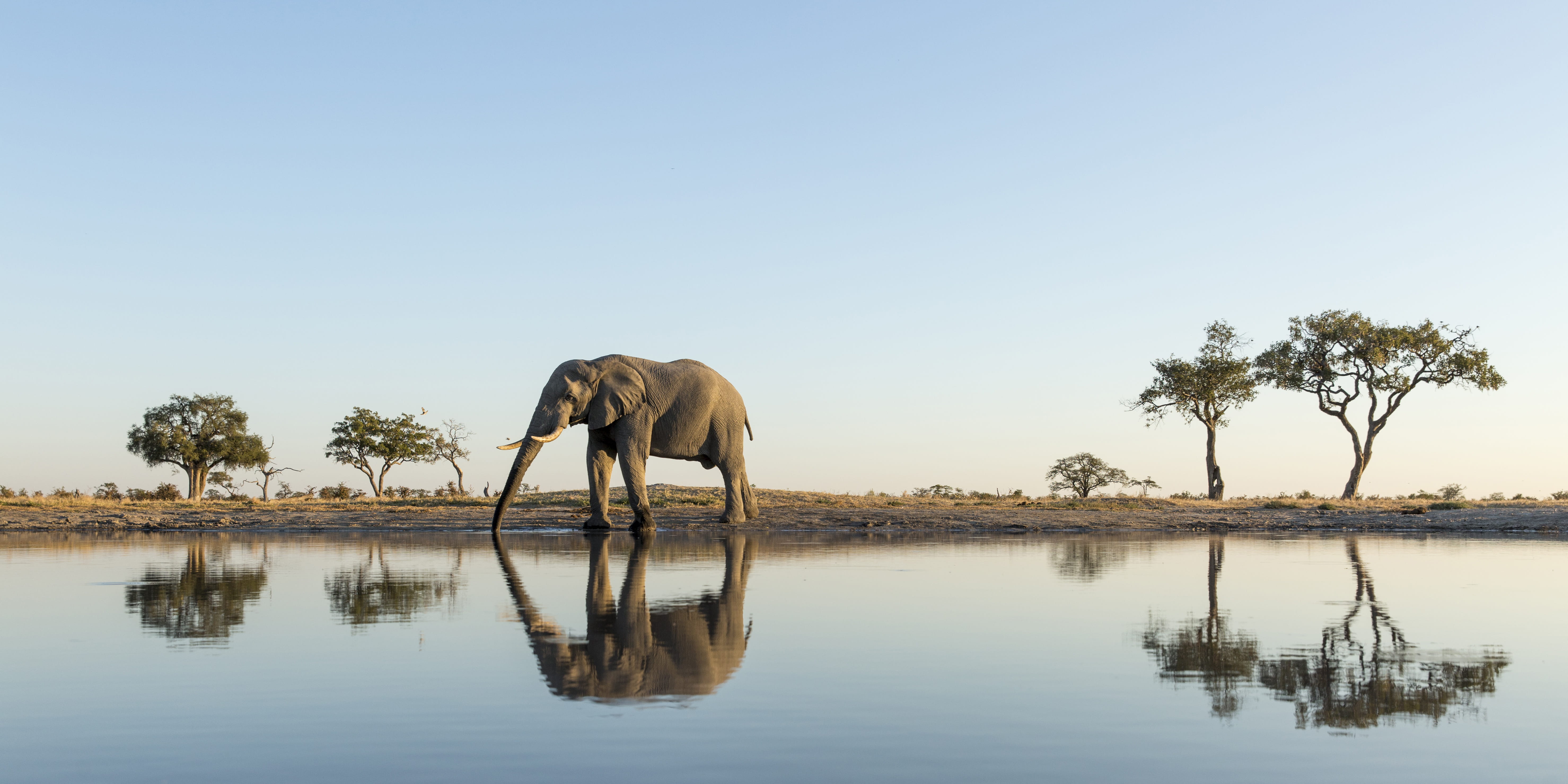 Trips in Botswana