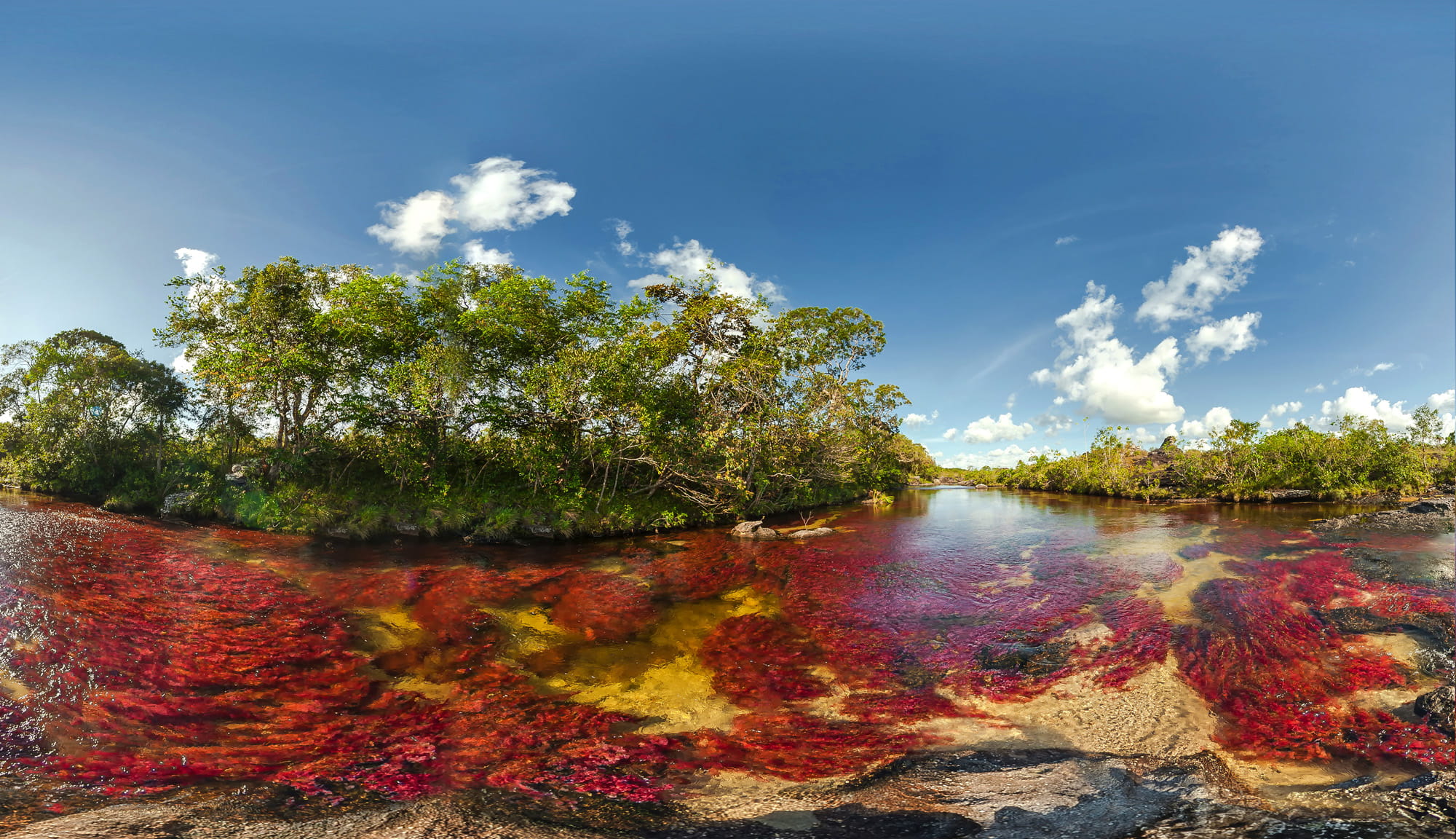 Trips in Colombia