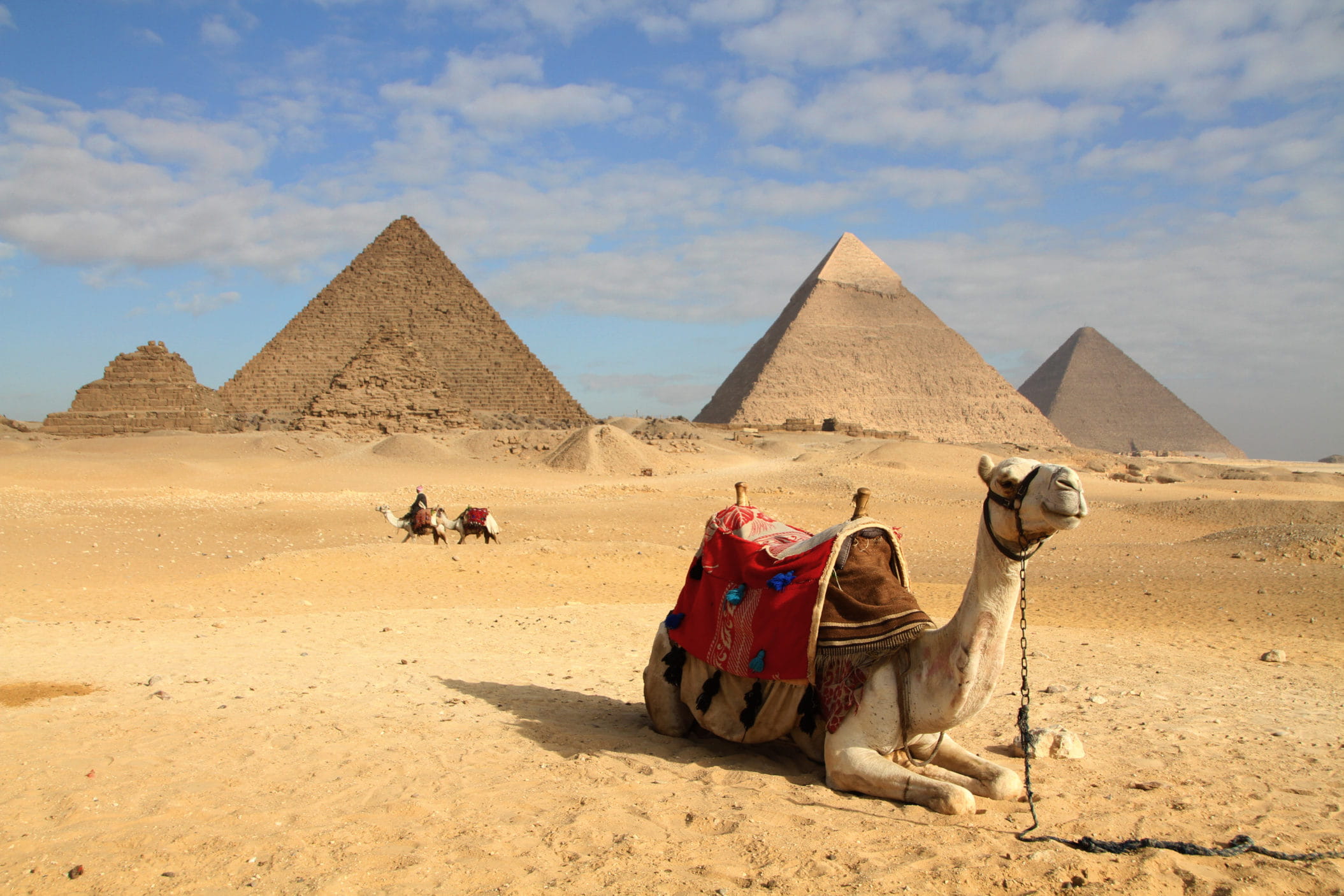 Trips in Egypt