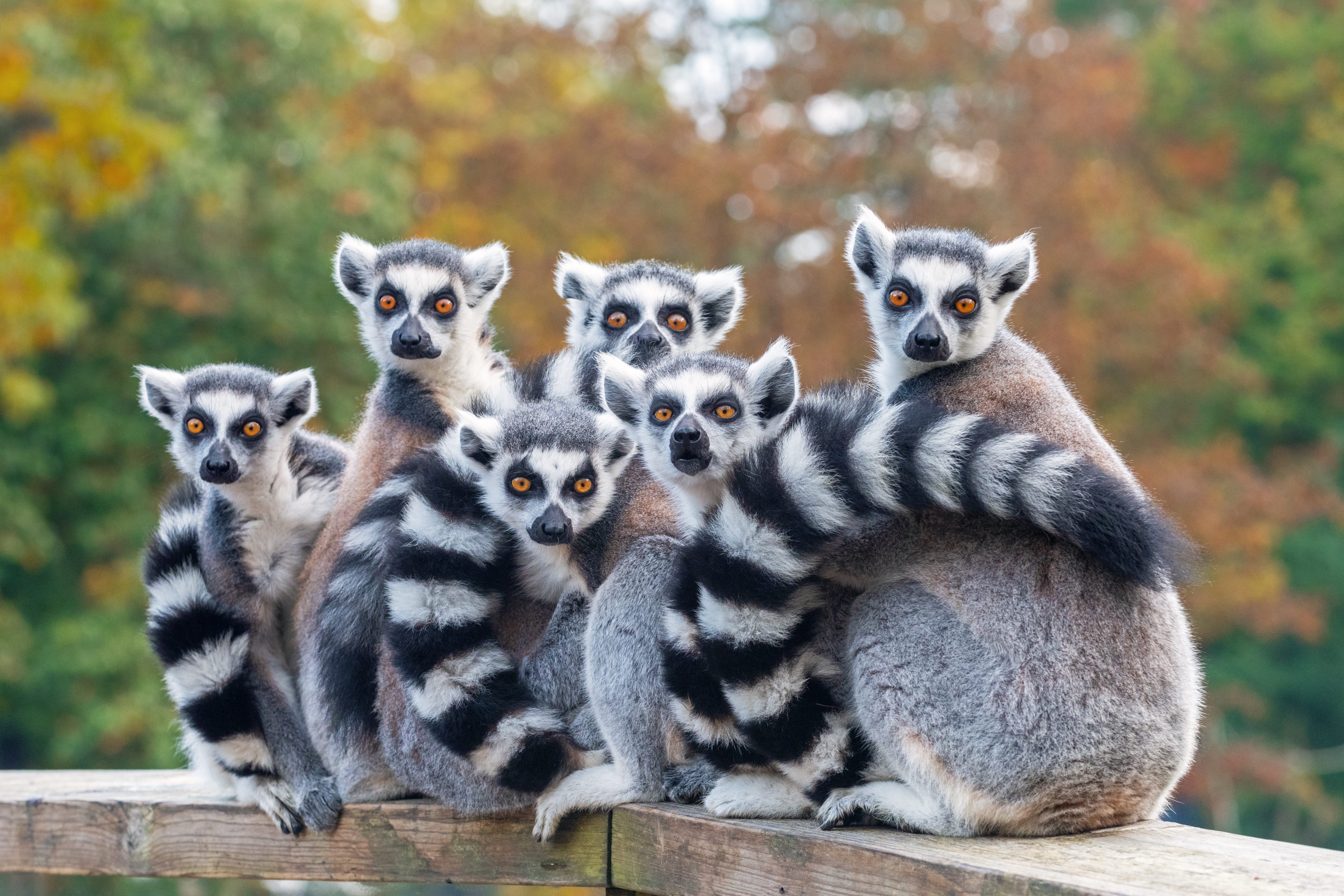 Viajes en Madagascar