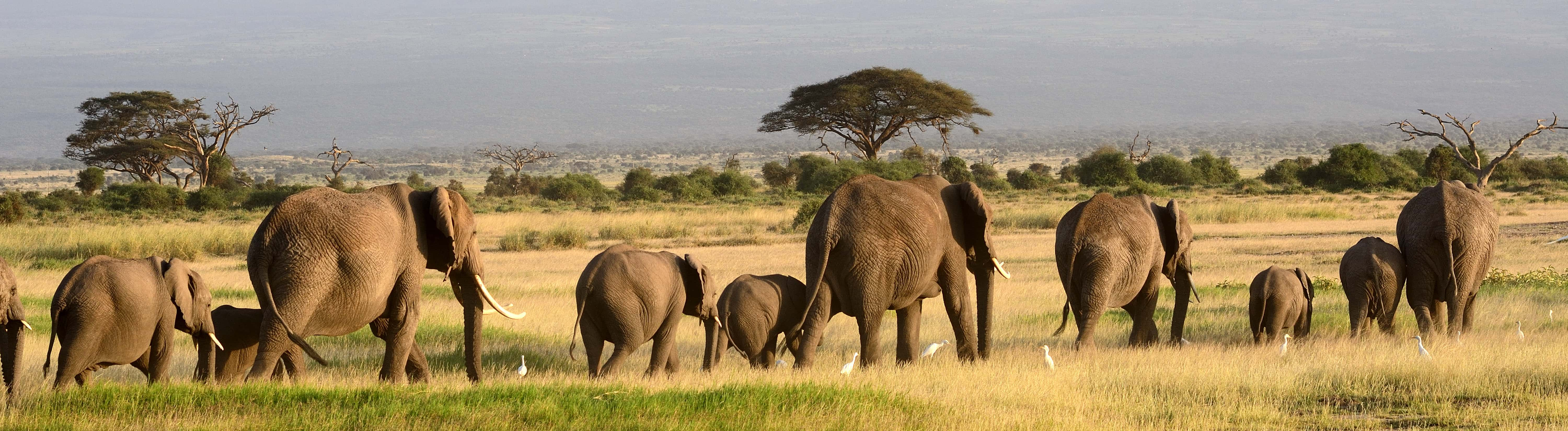 Viajes en Namibia