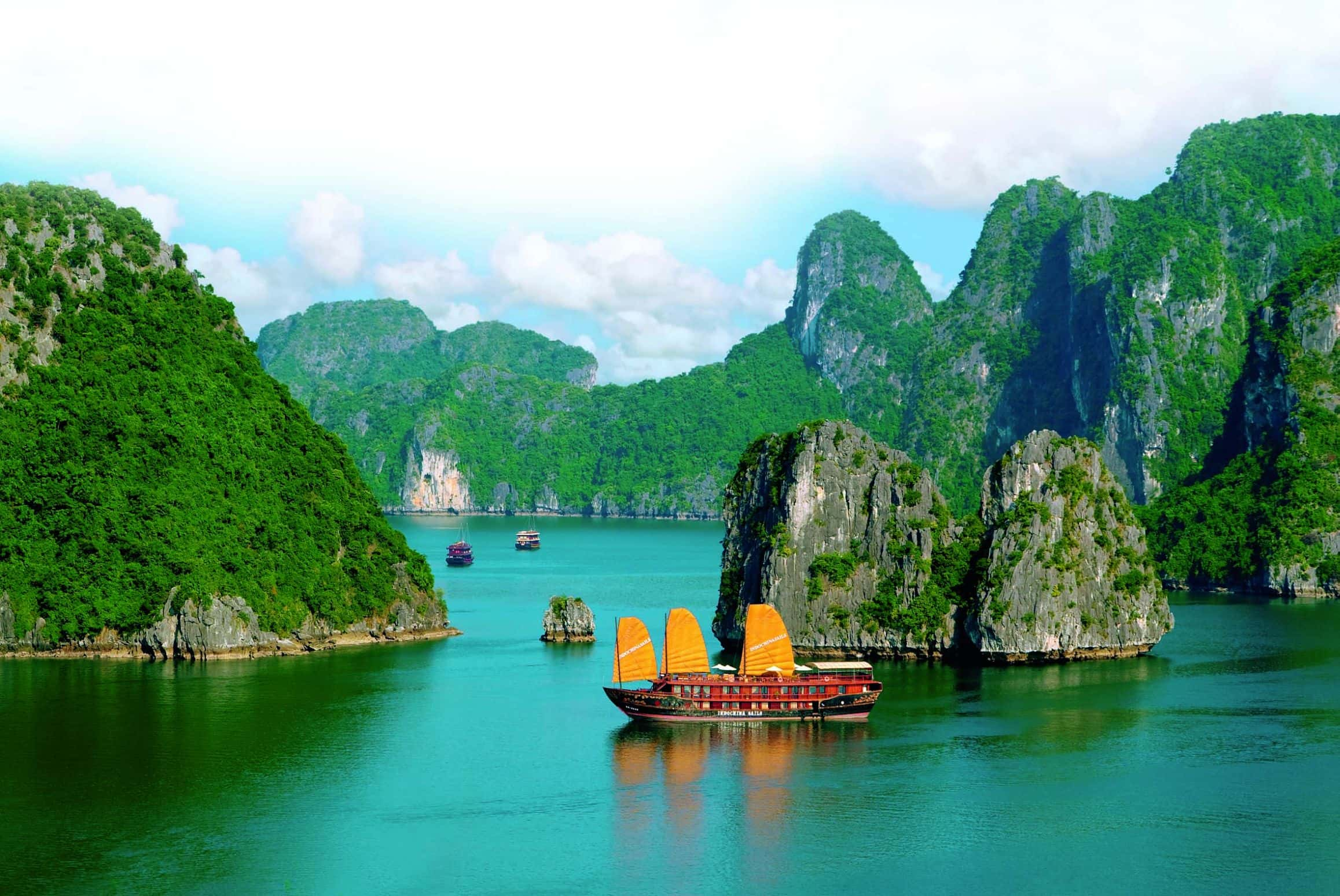 Trips in Vietnam