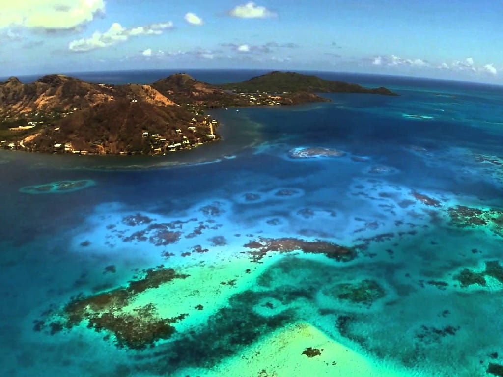 Diving in Providencia, San Andres trip of in Colombia