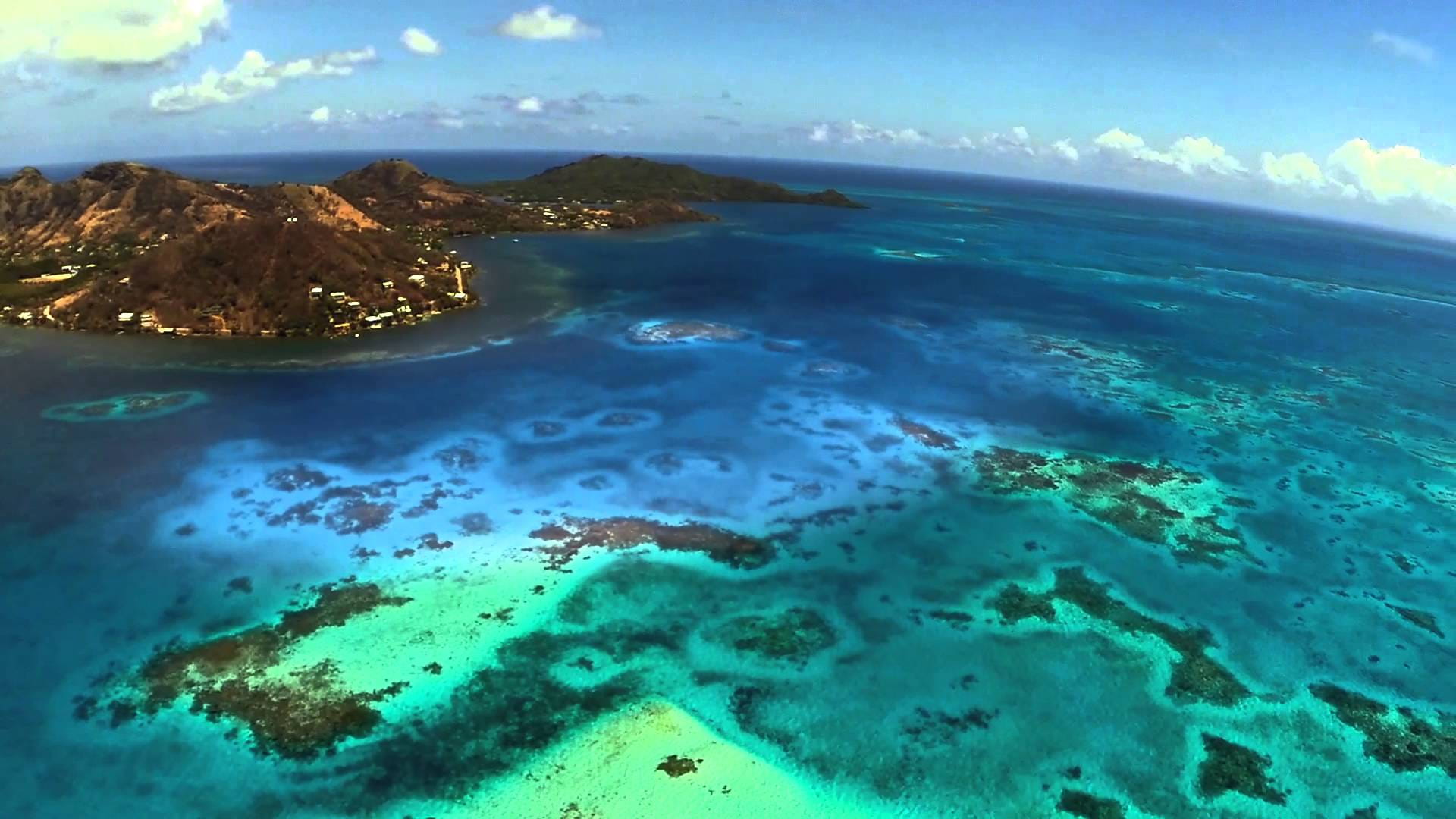 Diving in Providencia, San Andres