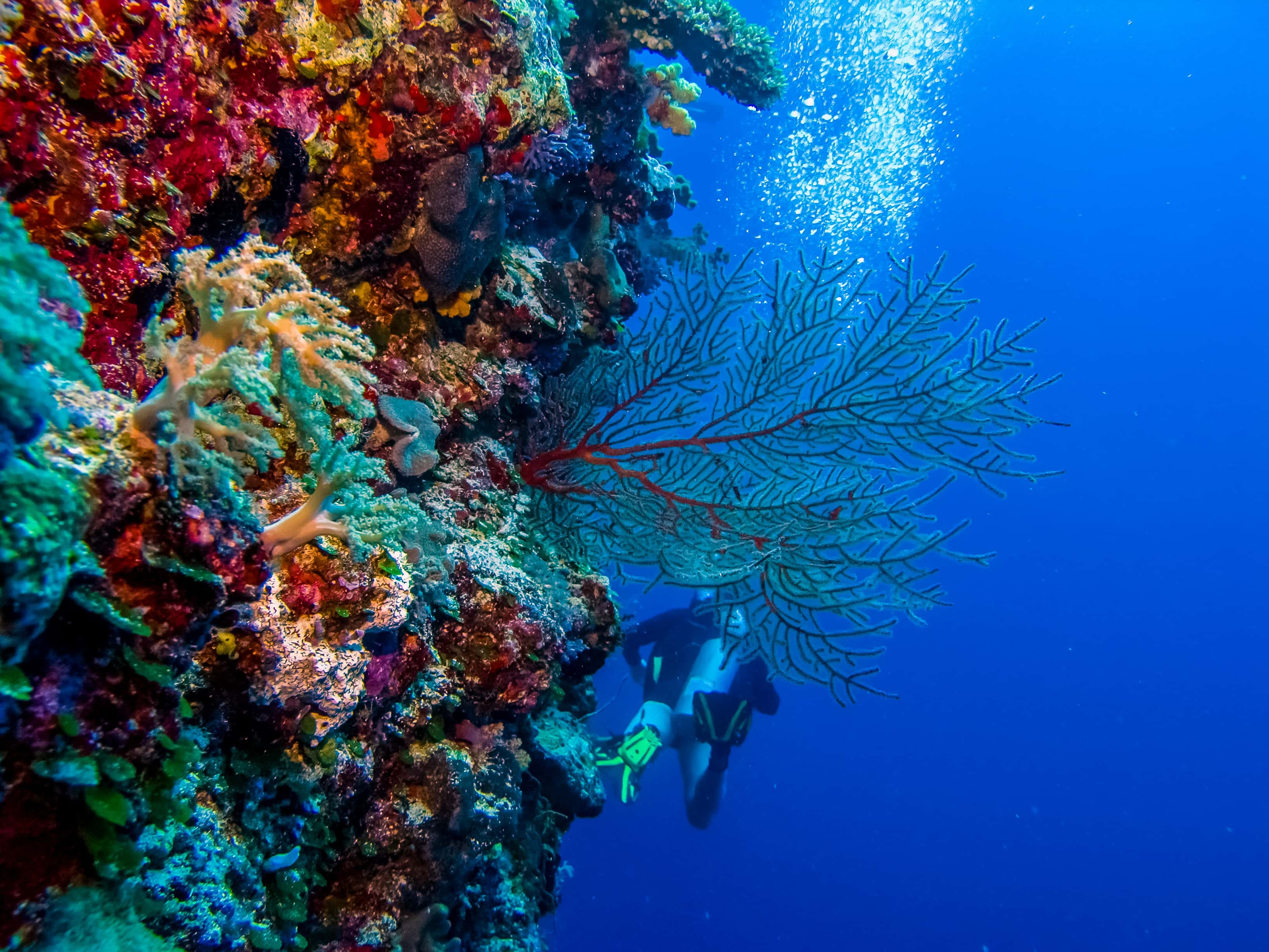 Cabo Verde - viaje de   en  Cabo Verde