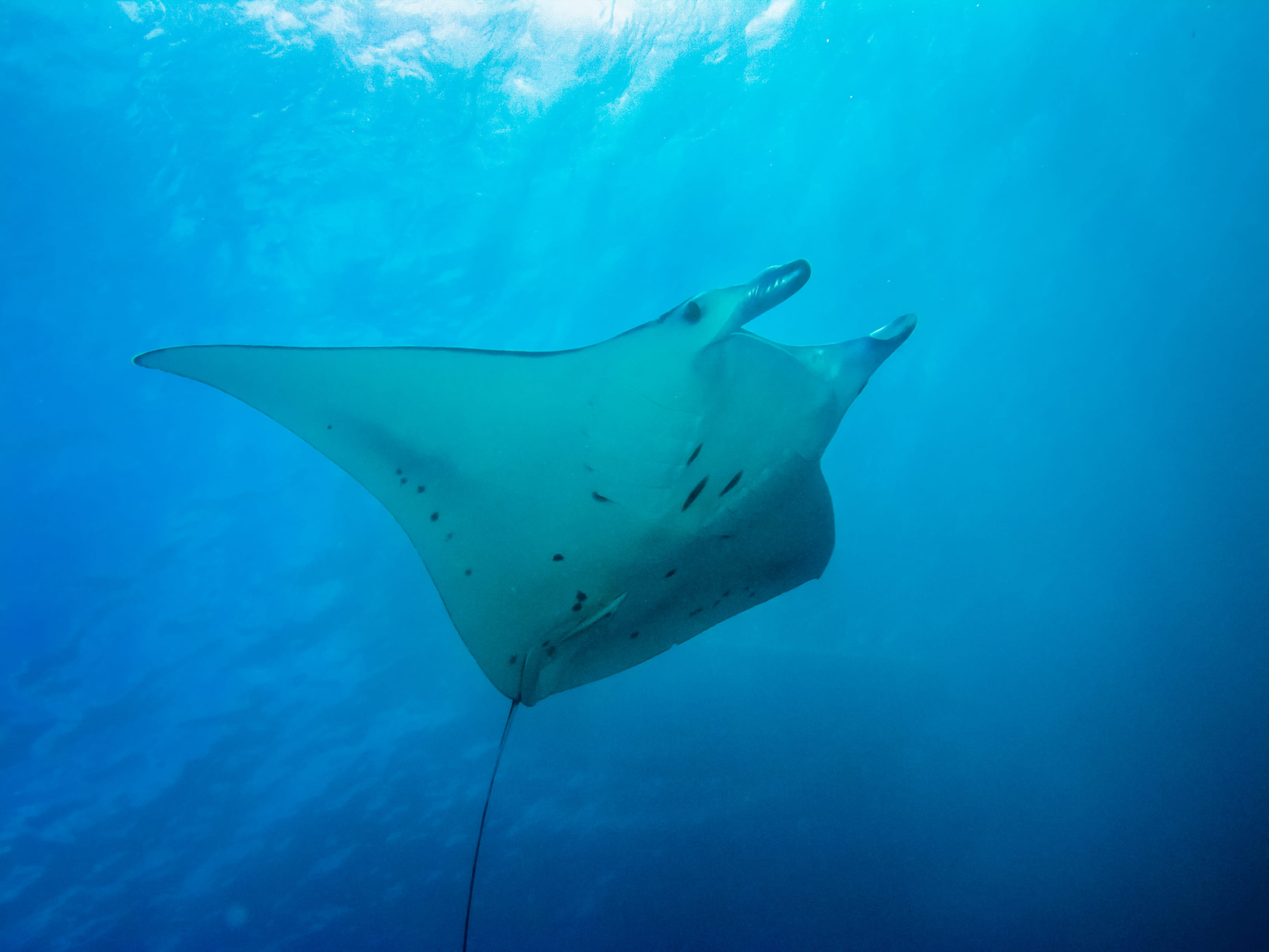 Cape Verde