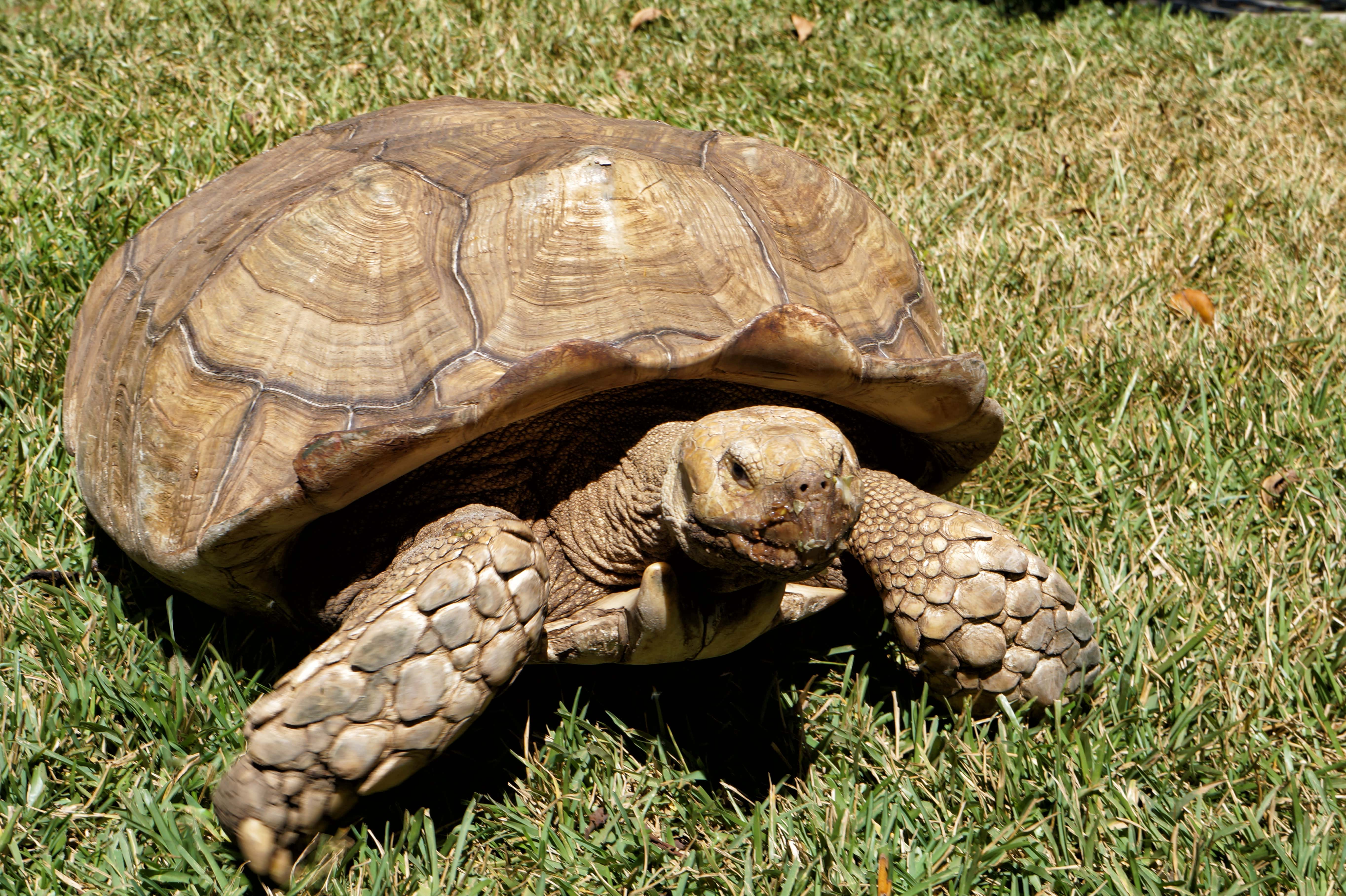 Cruise in Galapagos - trip of   in  Ecuador