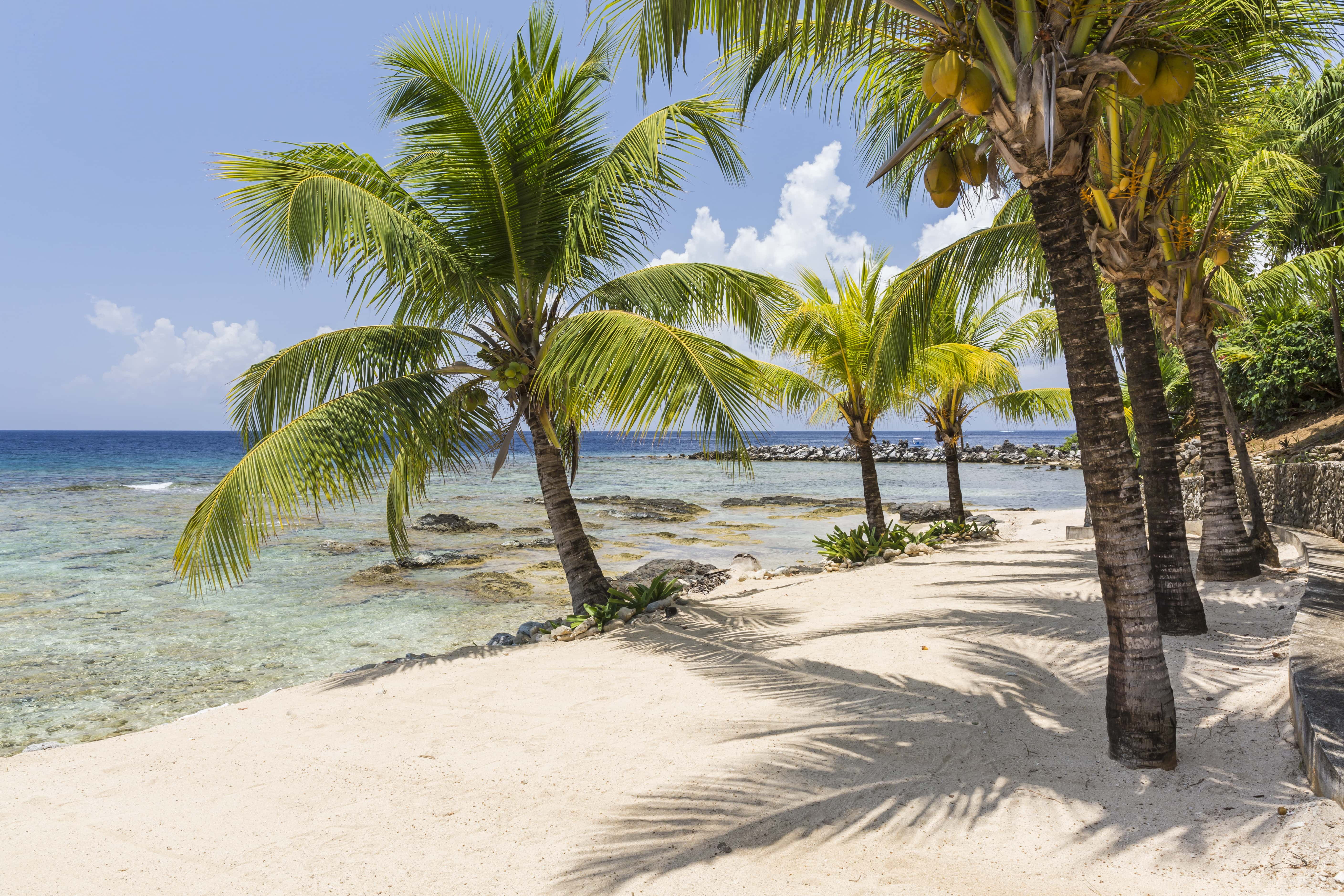 Guatemala e islas de la Bahia - viaje de   en  Honduras, Guatemala