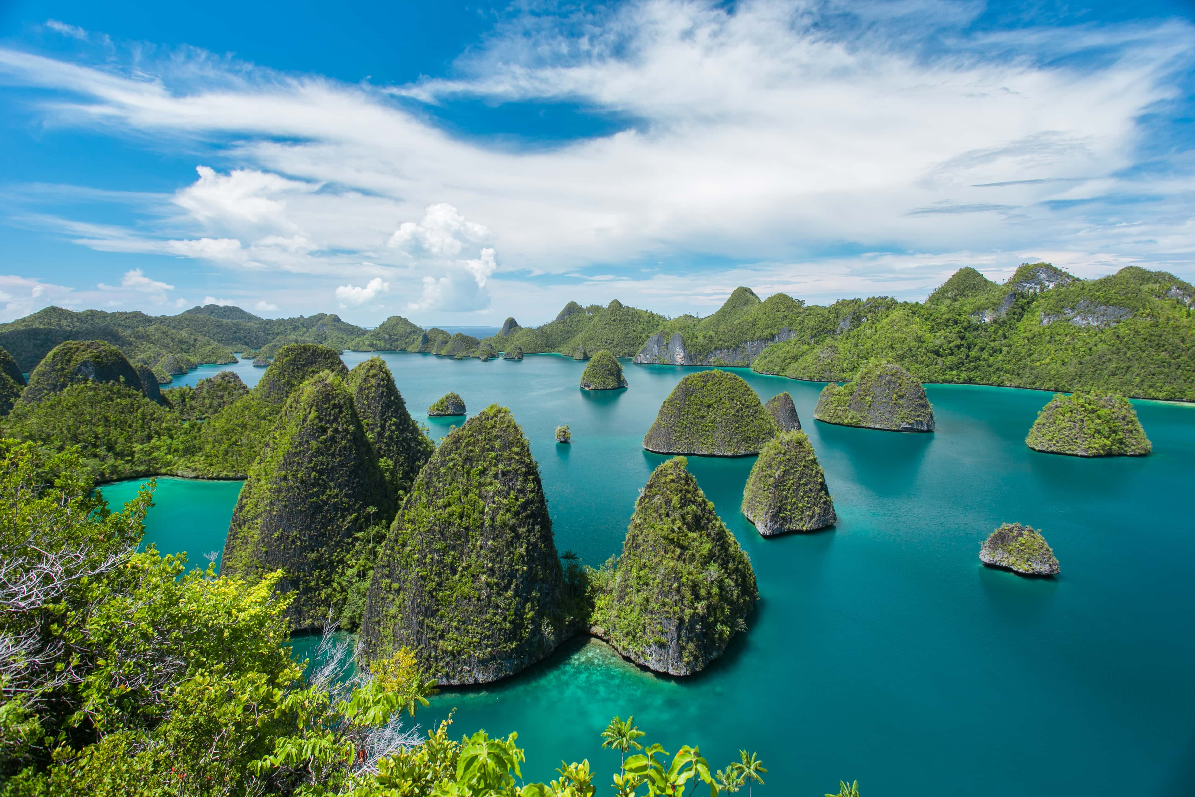 Diving in Raja Ampat