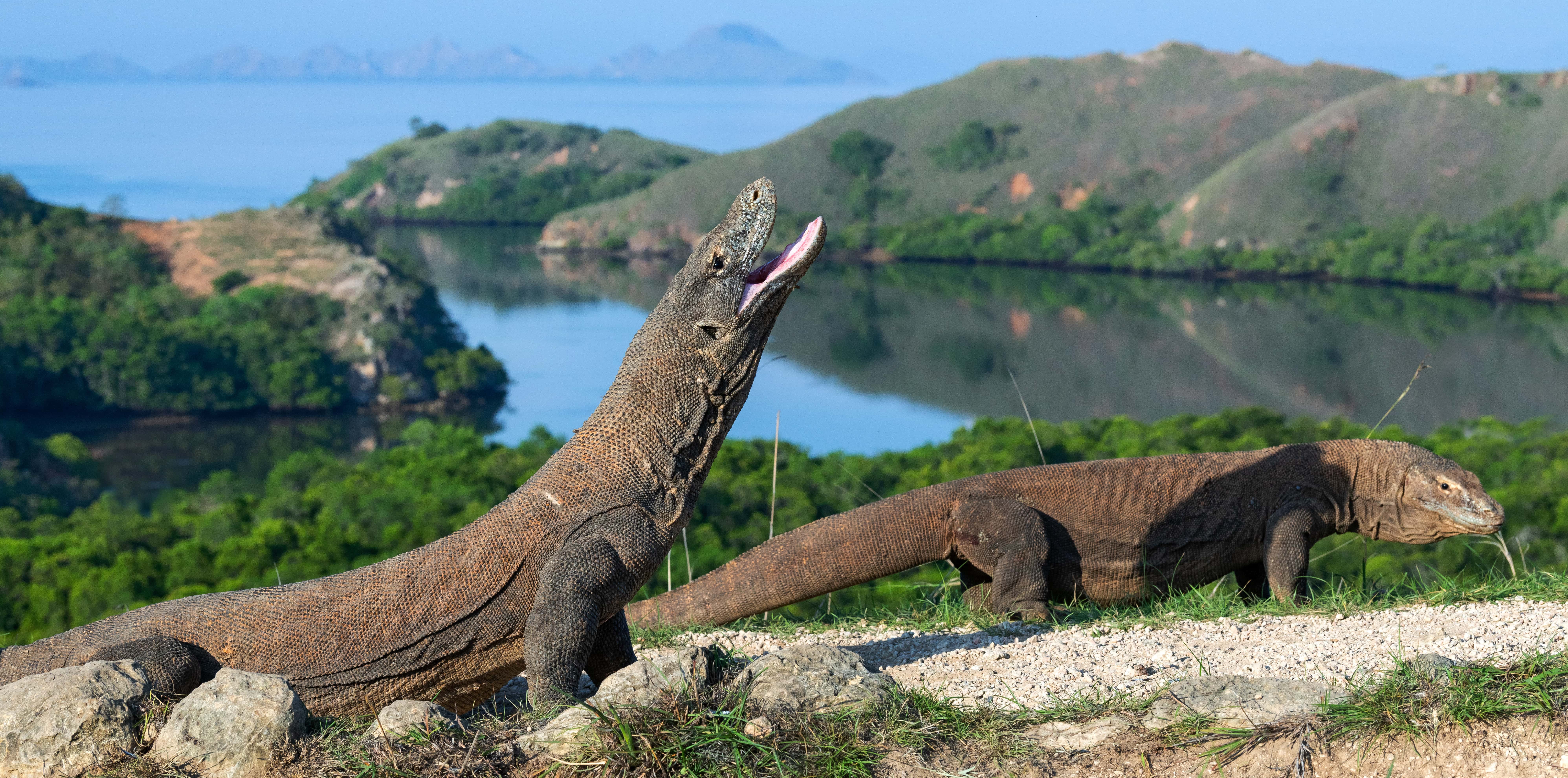 From Sumatra to Komodo - trip of   in  Indonesia