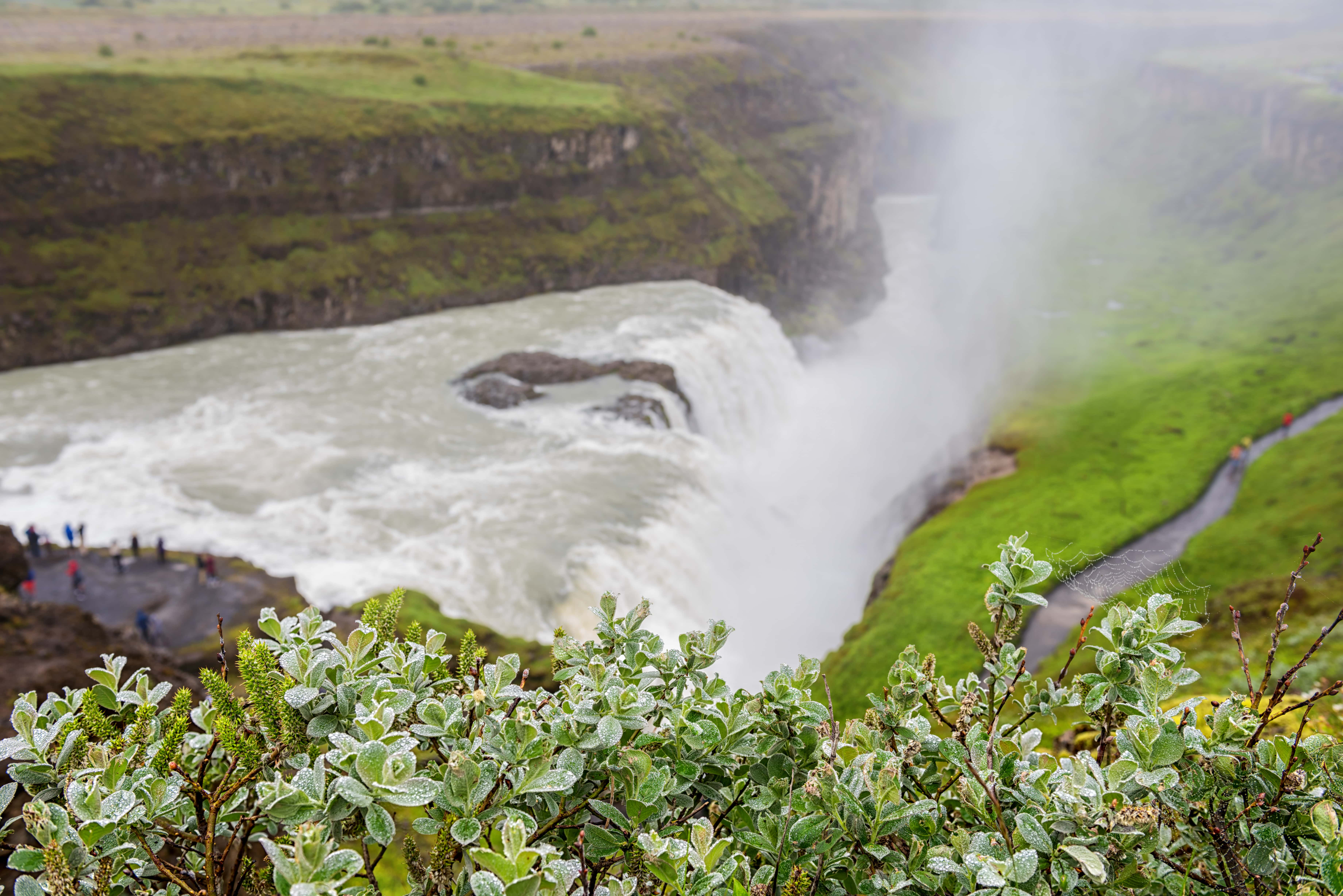 Alrededor de Islandia - viaje de   en  Islandia