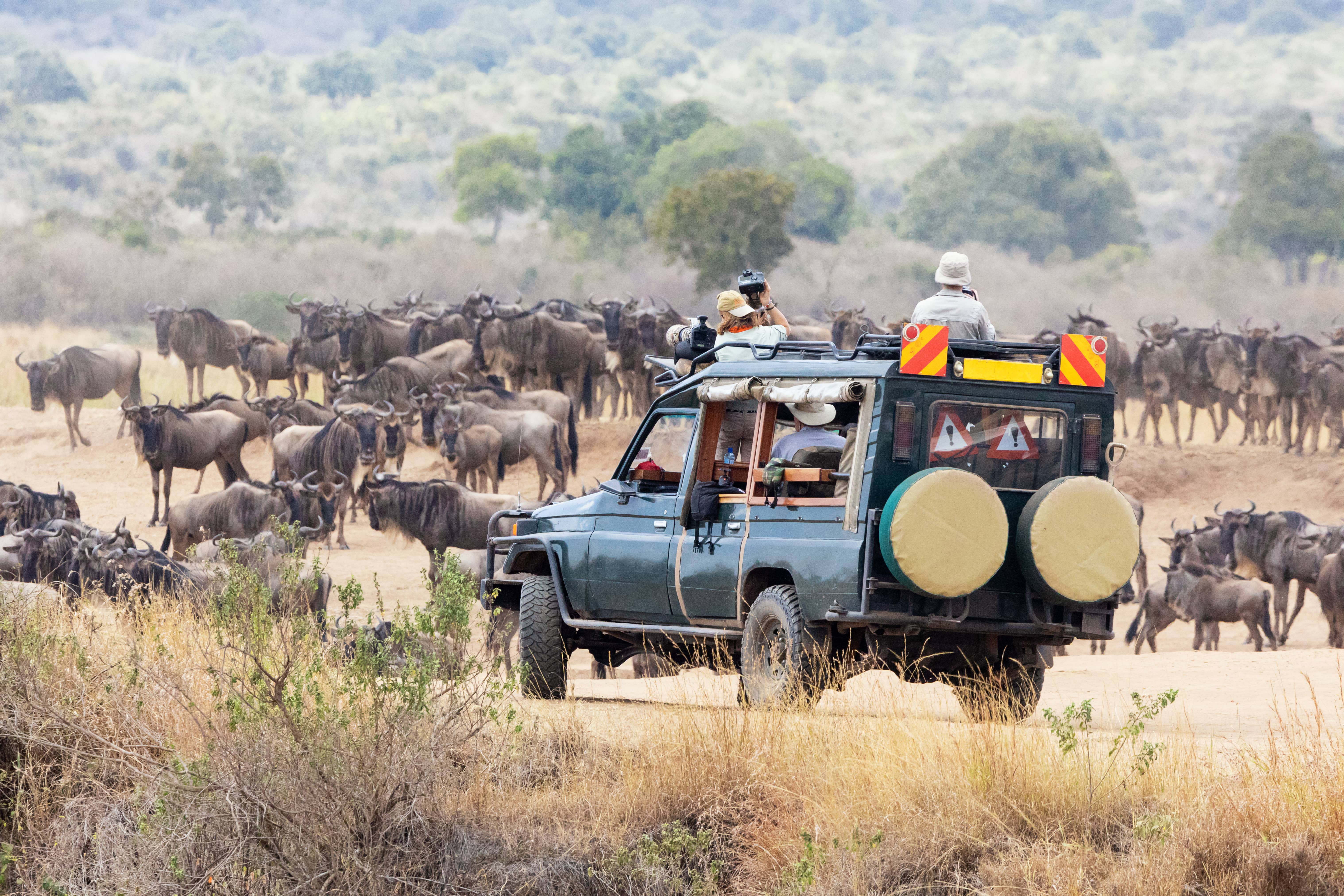 Kenia self drive 4x4 - trip of   in  Kenya