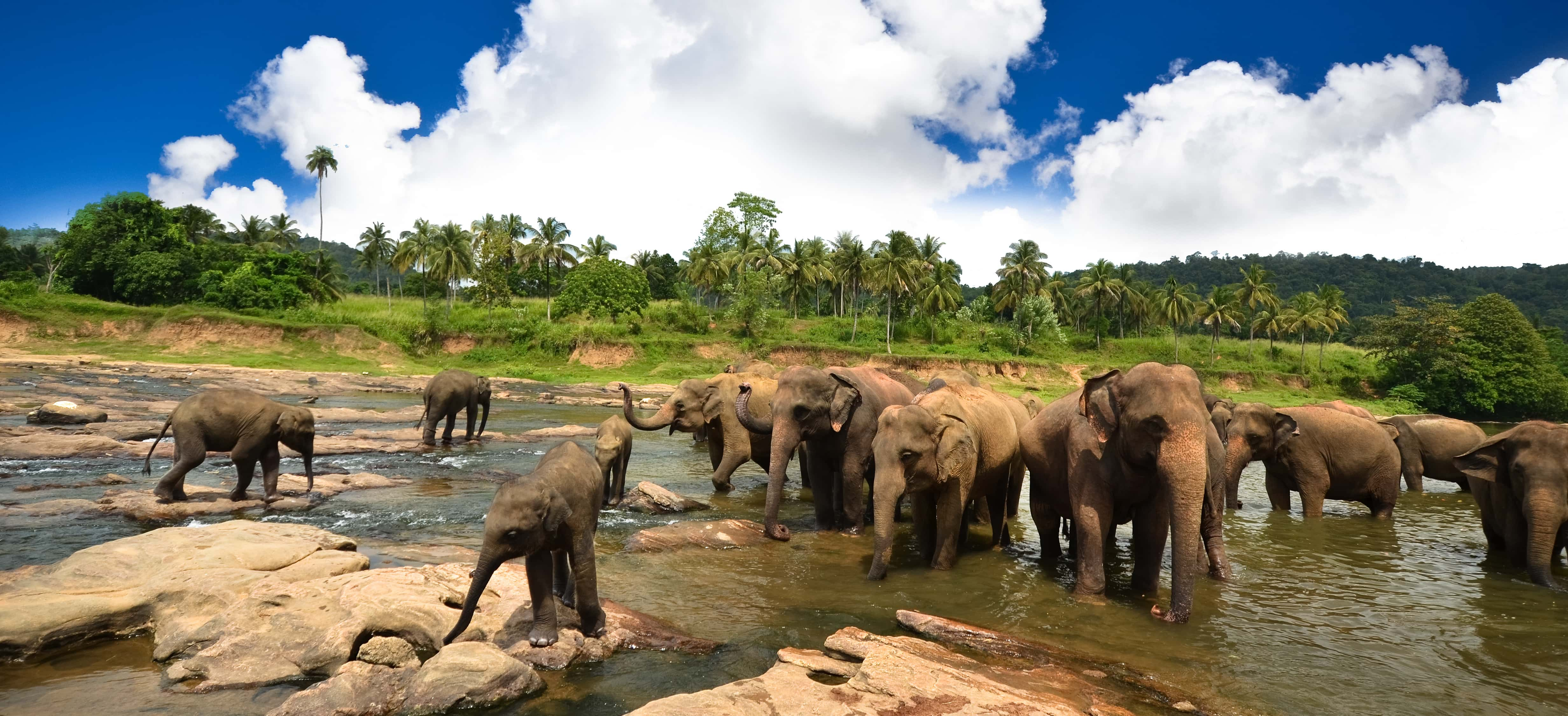 Sri Lanka, el Tahití del Este - viaje de   en  Sri Lanka