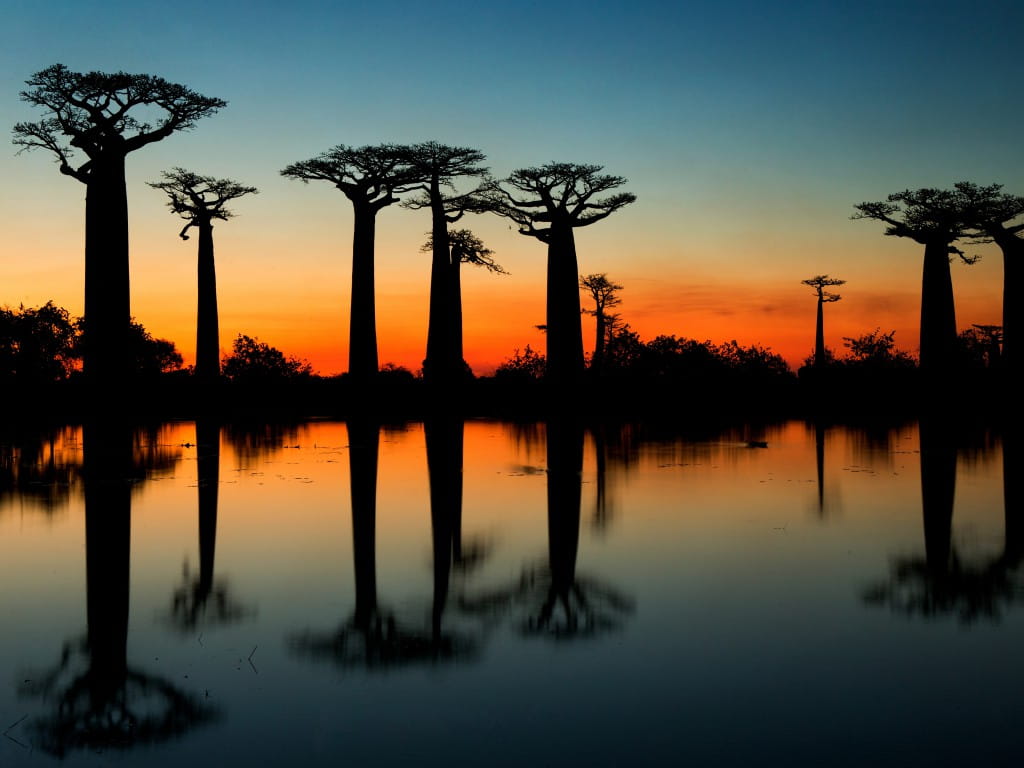 Natural parks Madagascar - trip of in Madagascar