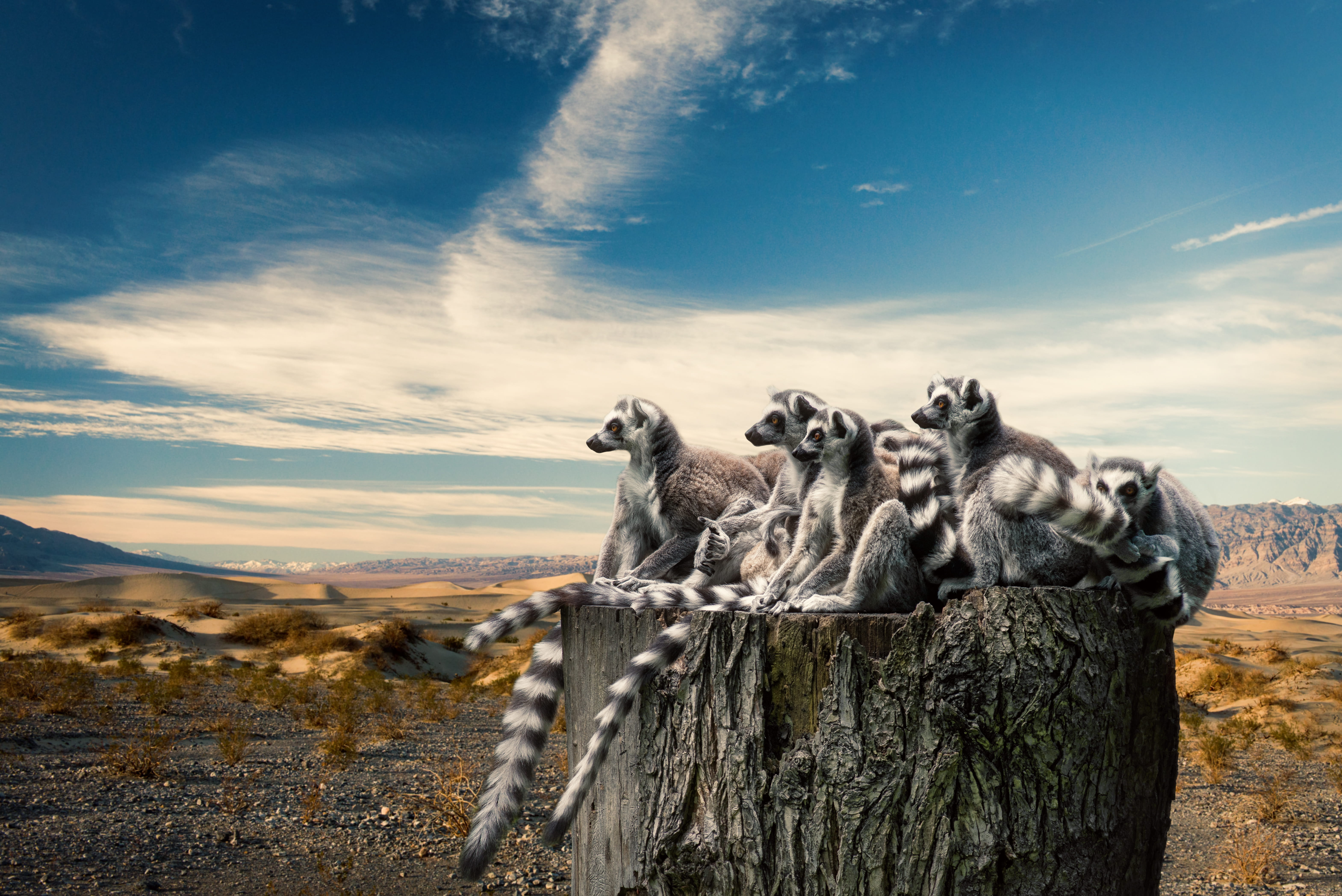 Parques naturales de Madagascar - viaje de   en  Madagascar