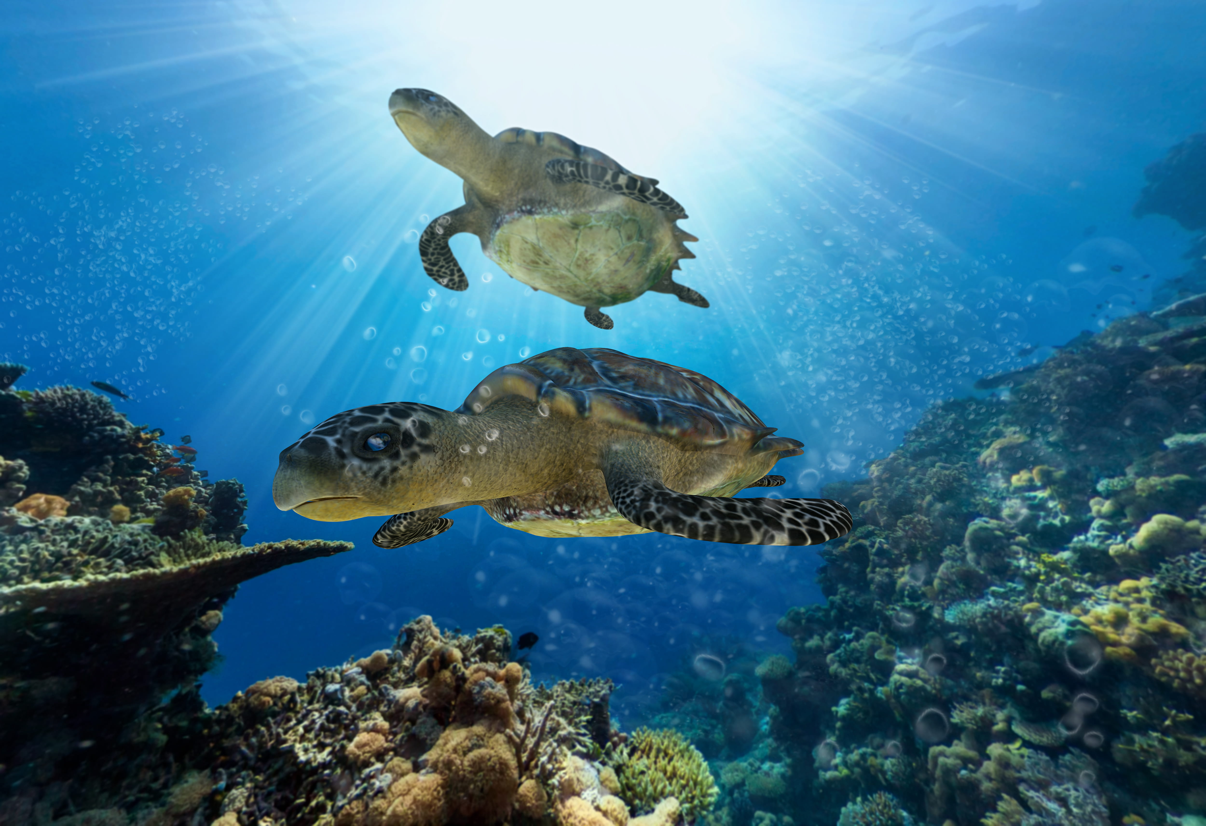 Liveaboard in Mitsio Islands - trip of   in  Madagascar