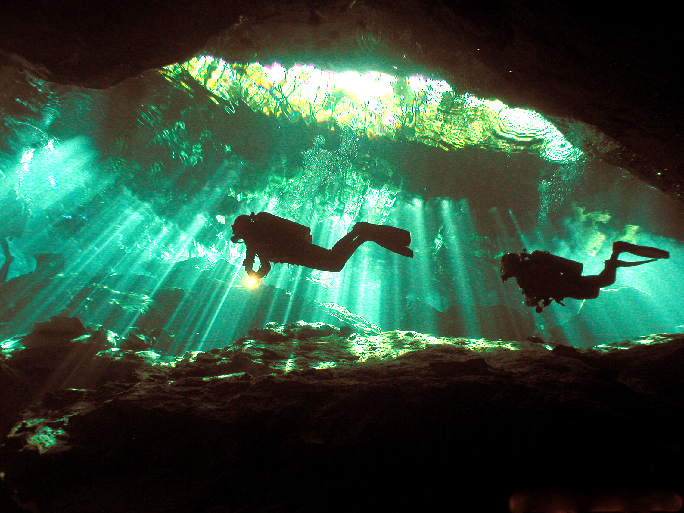 México- Cenotes & Sharks