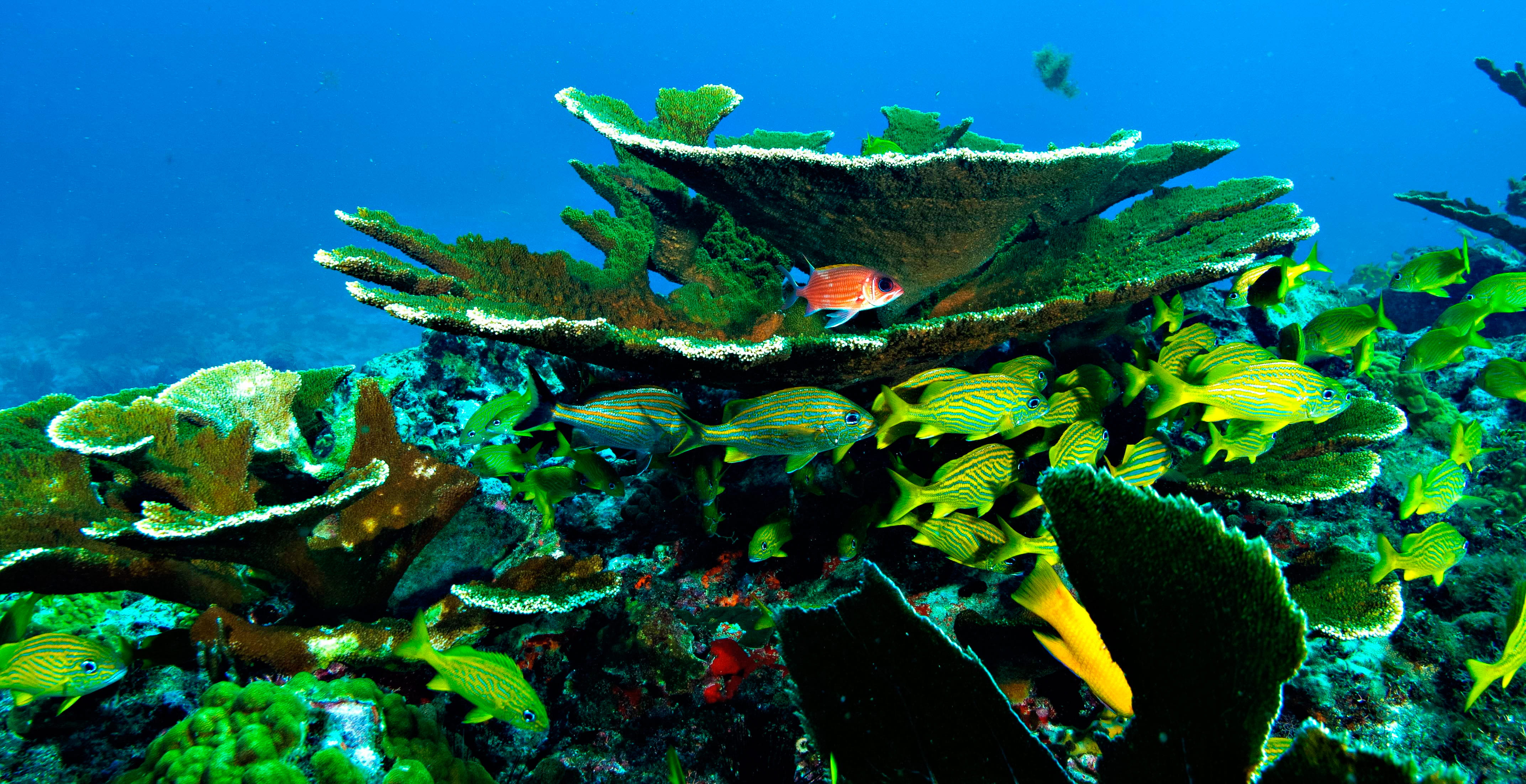 Playa del Carmen, Méjico - viaje de   en  México