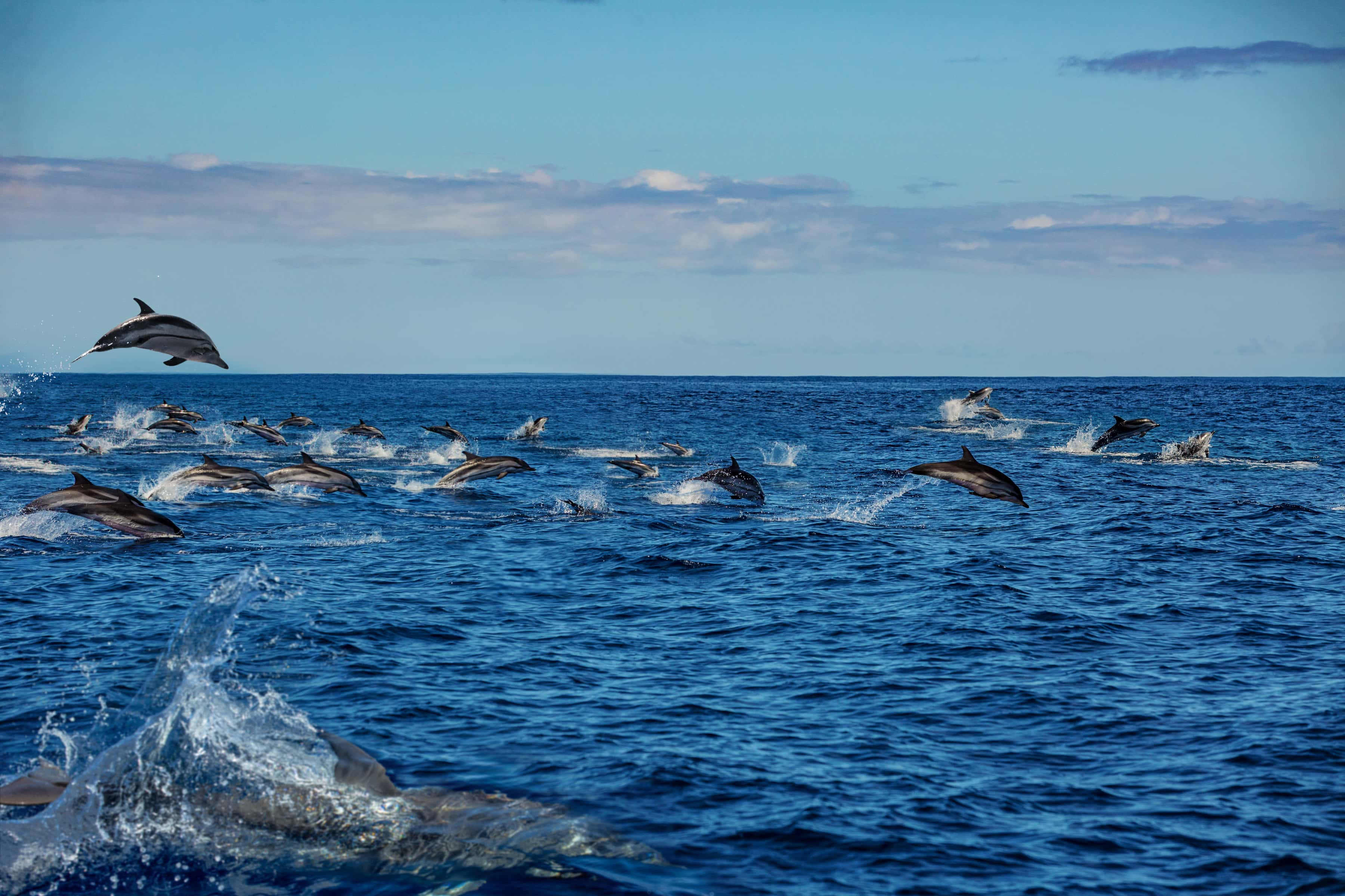 Archipiélago de las Quirimbas  - viaje de   en  Mozambique