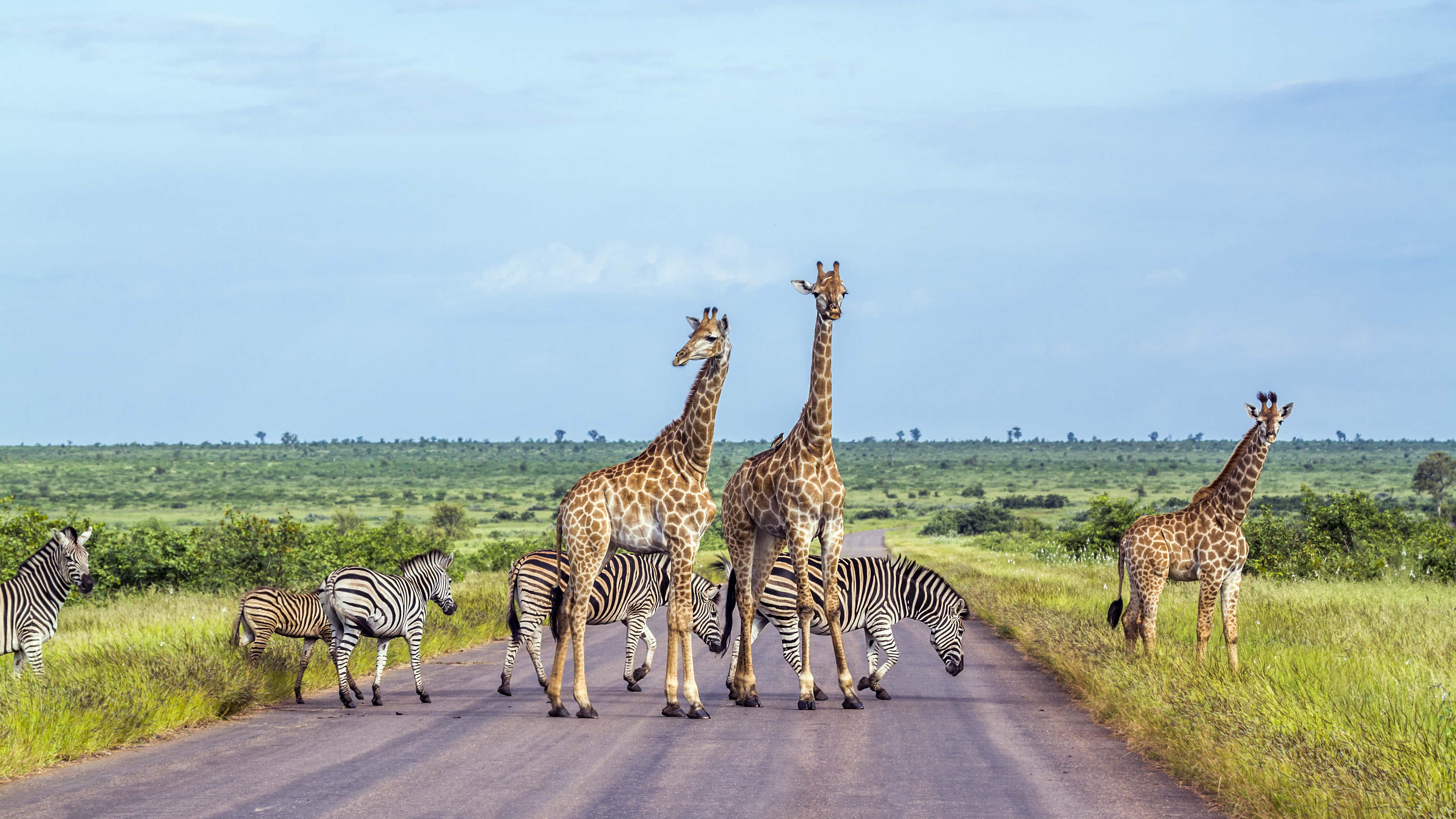 Mozambique y  Kruger - viaje de   en  Mozambique, Sudáfrica