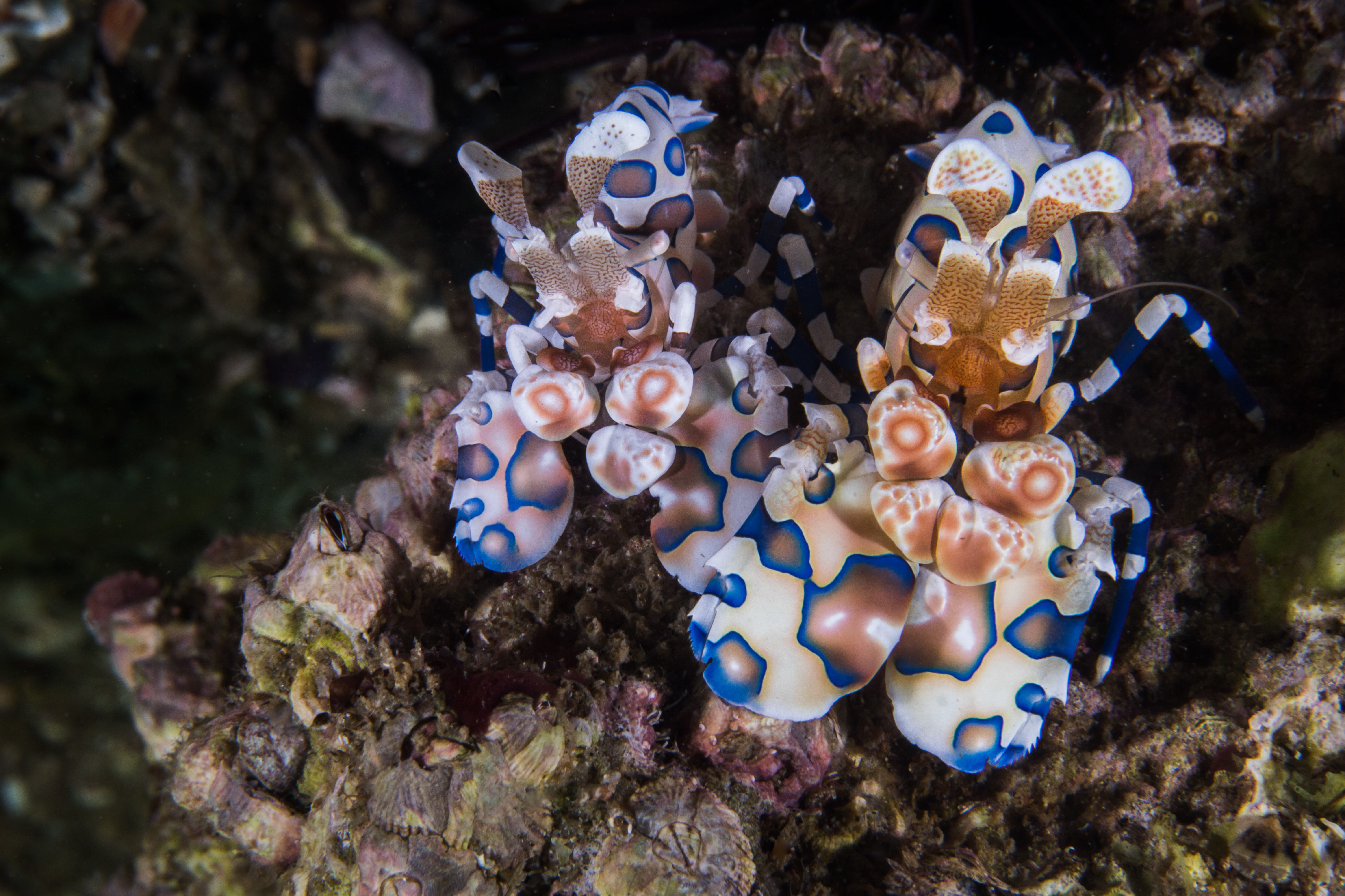 Bazaruto Archipelago - trip of   in  Mozambique