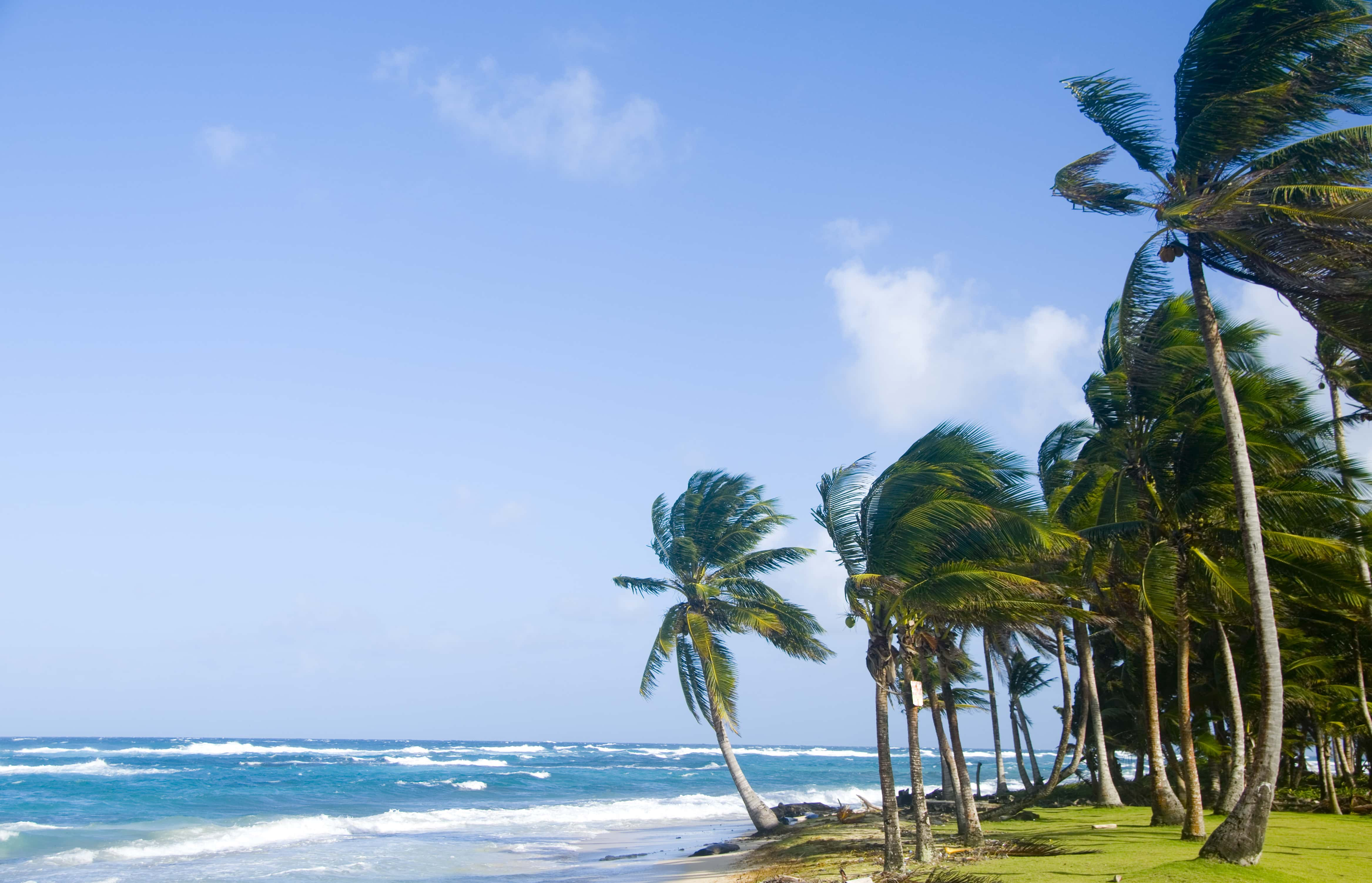 Diving in craters and Caribbean