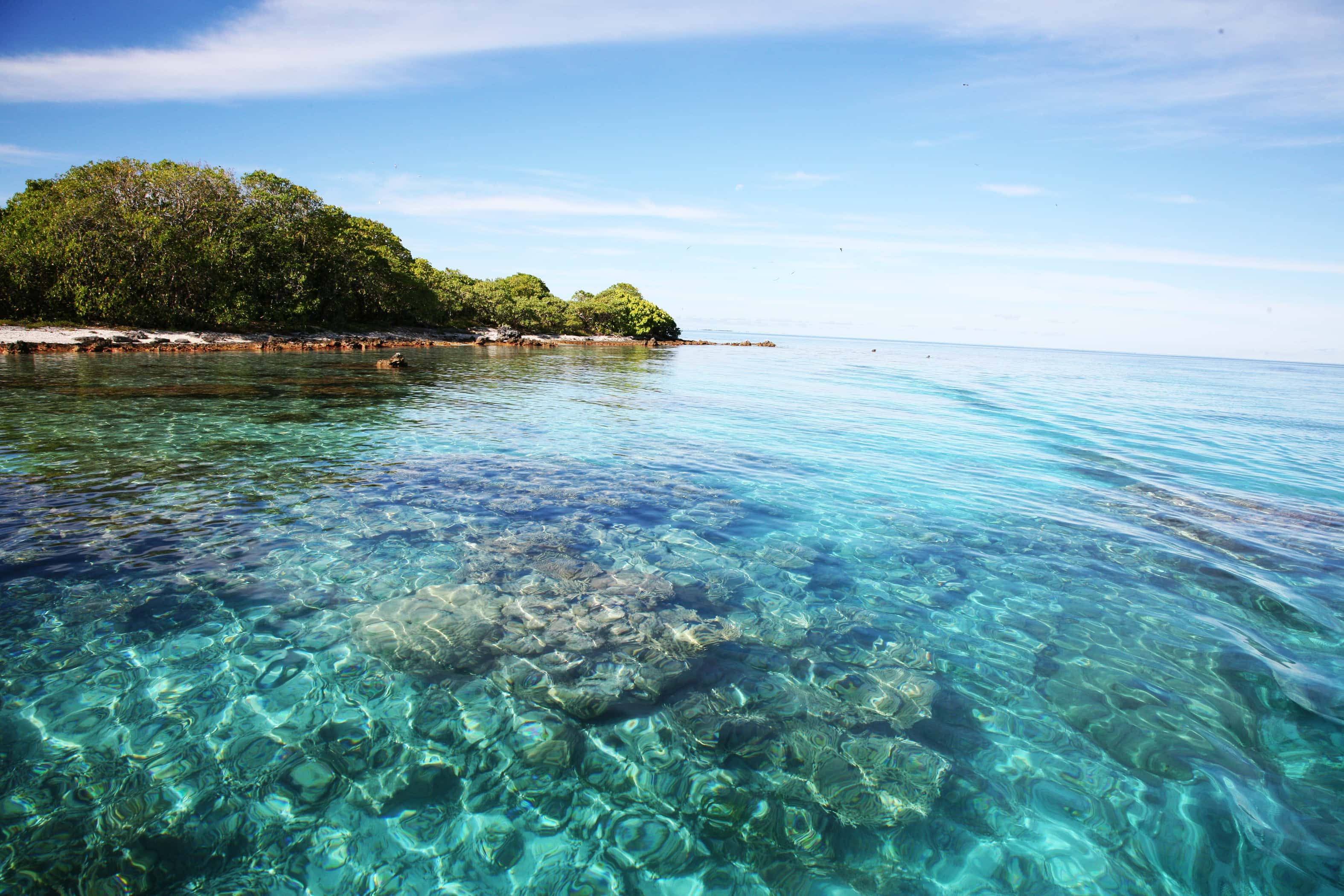 Buceo en Coiba - viaje de   en  Panamá