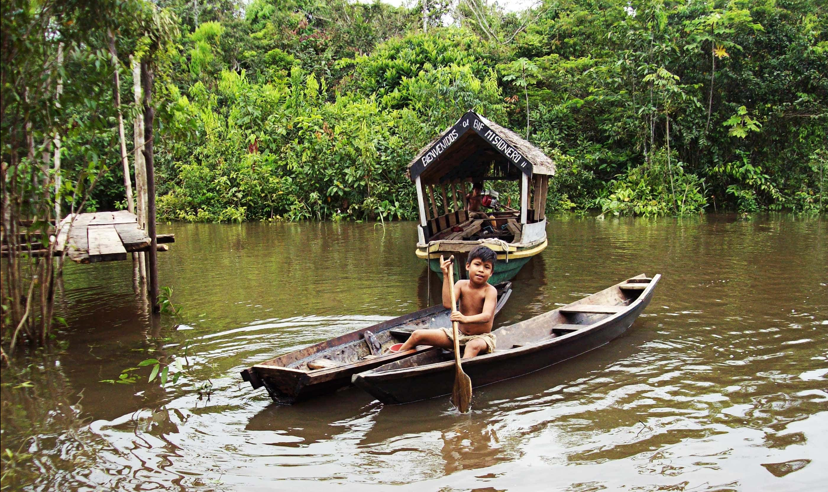 Amazon jungle - trip of   in  Peru