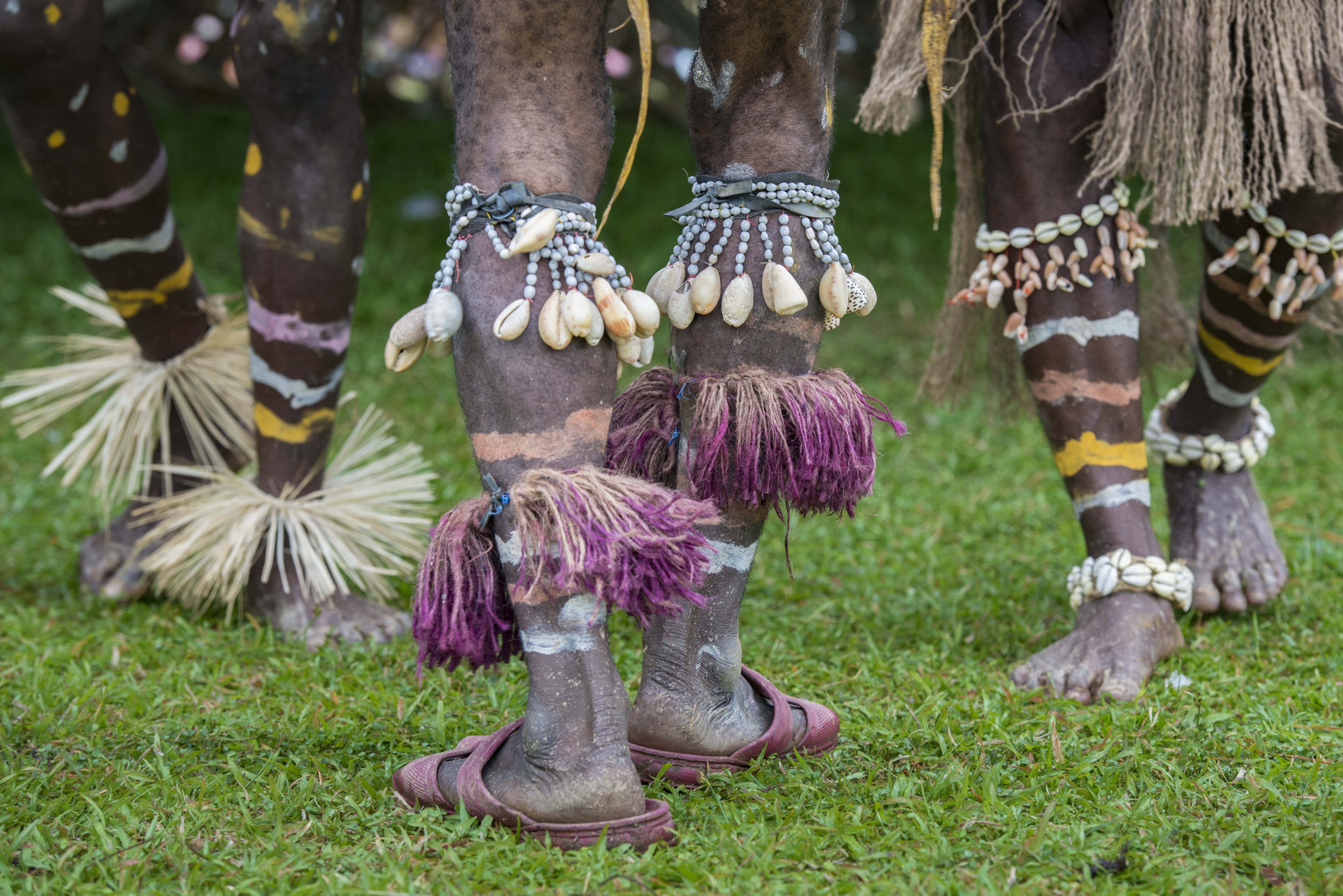 Balliem Valley, Papua - trip of   in  Papua New Guinea