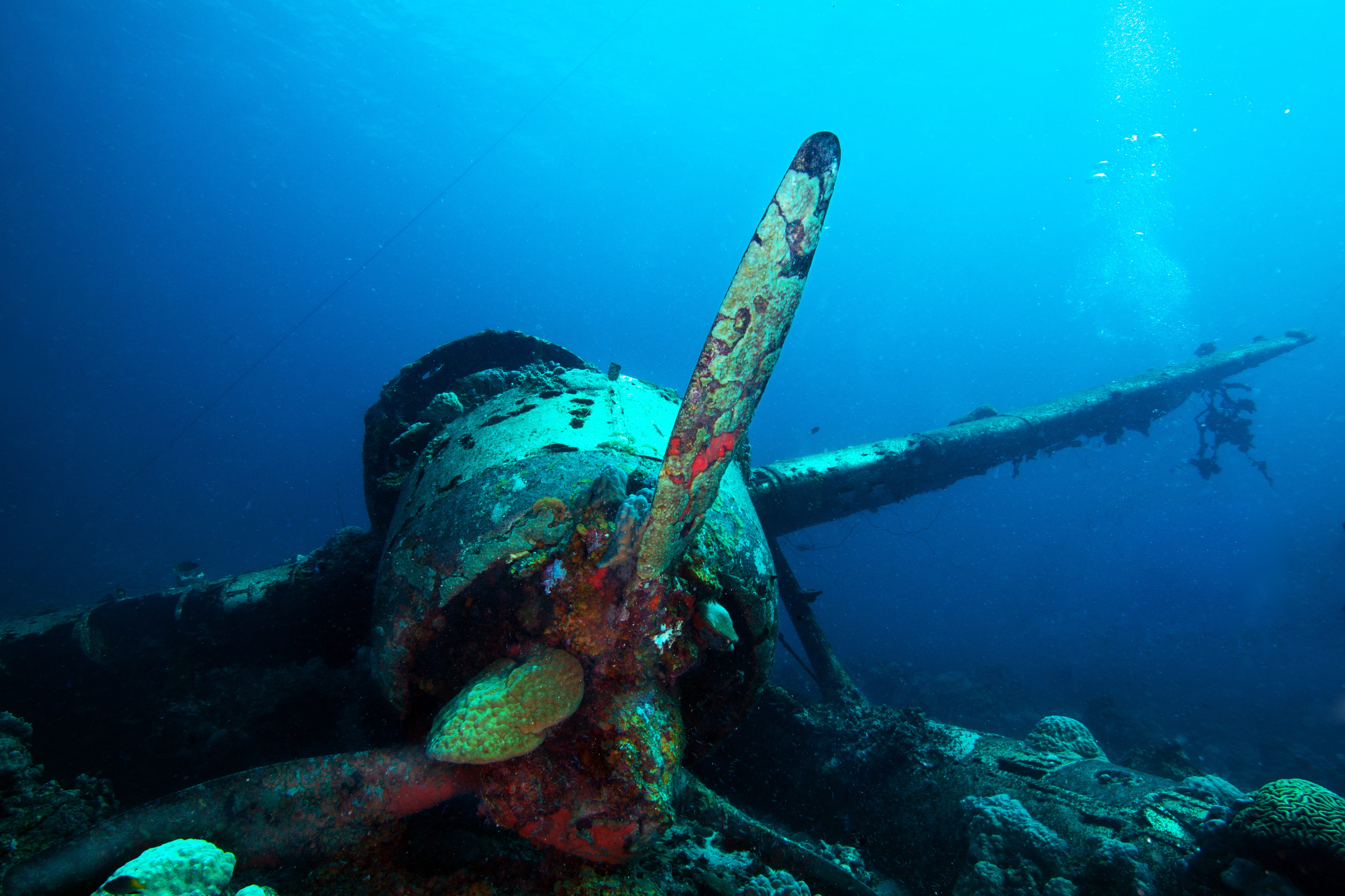 Liveaboard in palau