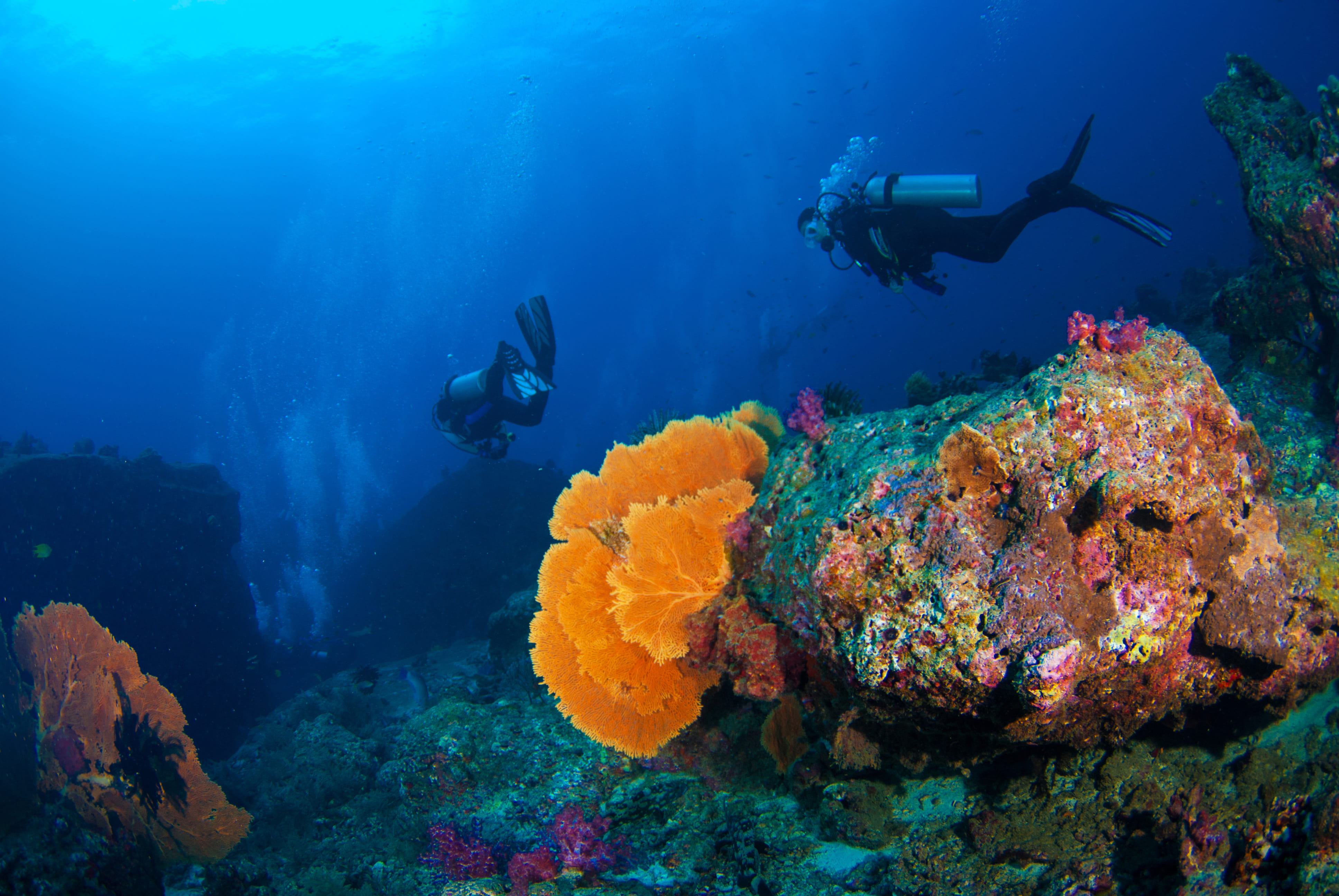 Buceo en Isla de Koh Tao, Tailandia