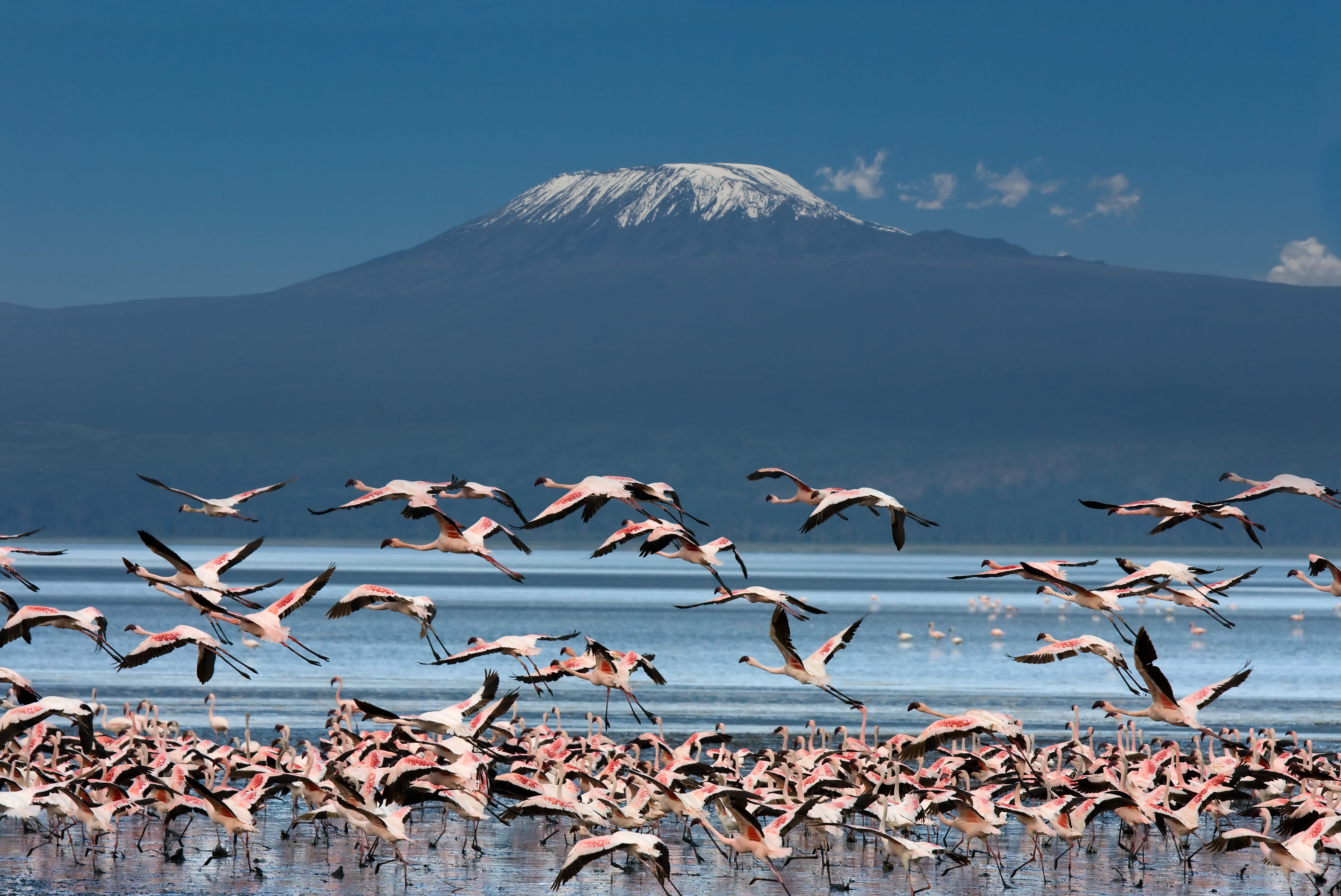 Trekking Kilimanjaro