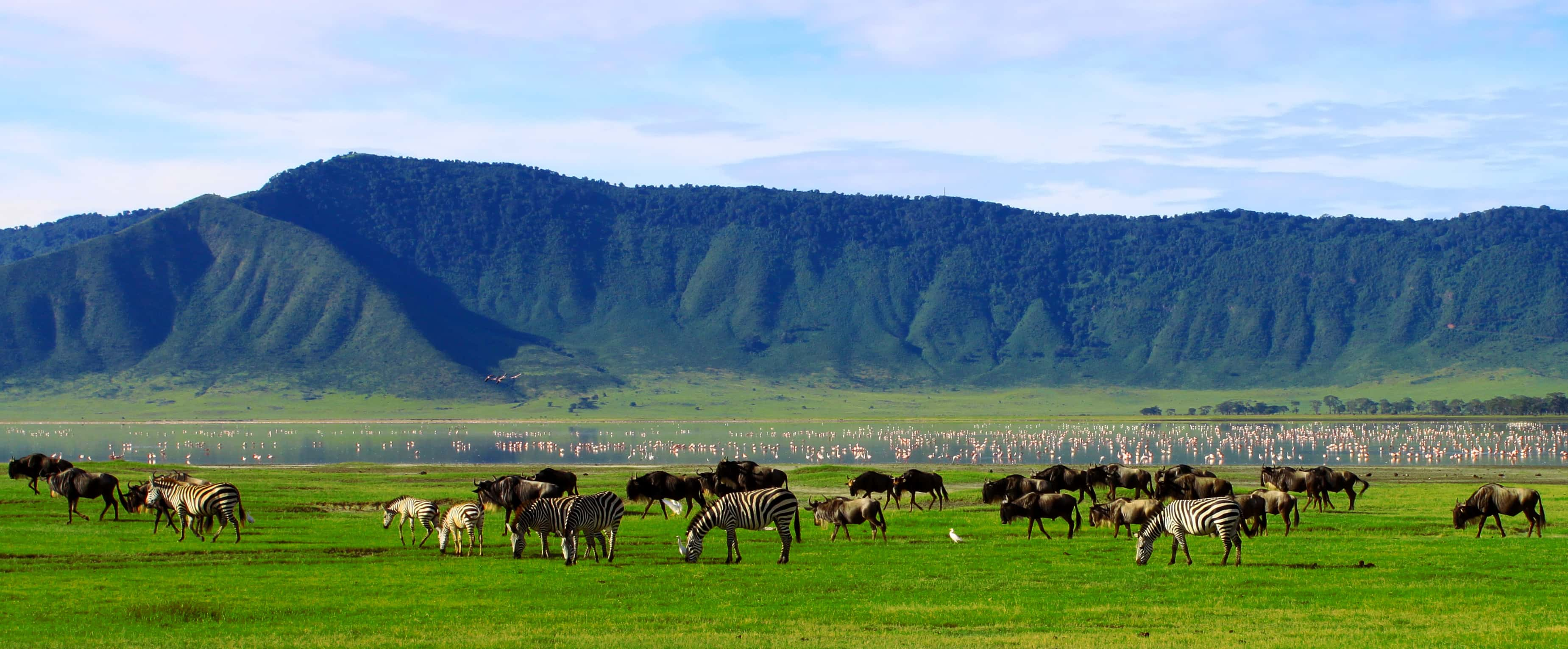 Tanzania, parks of the North - trip of   in  Tanzania