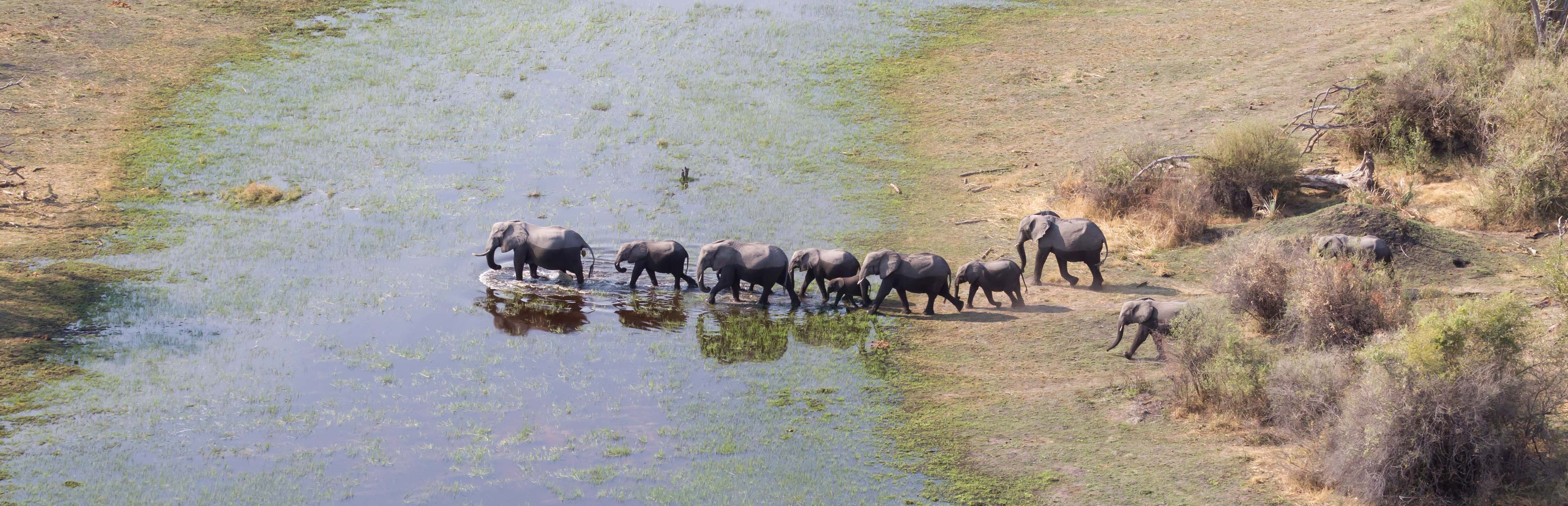 Tanzania, fly safari - trip of   in  Tanzania