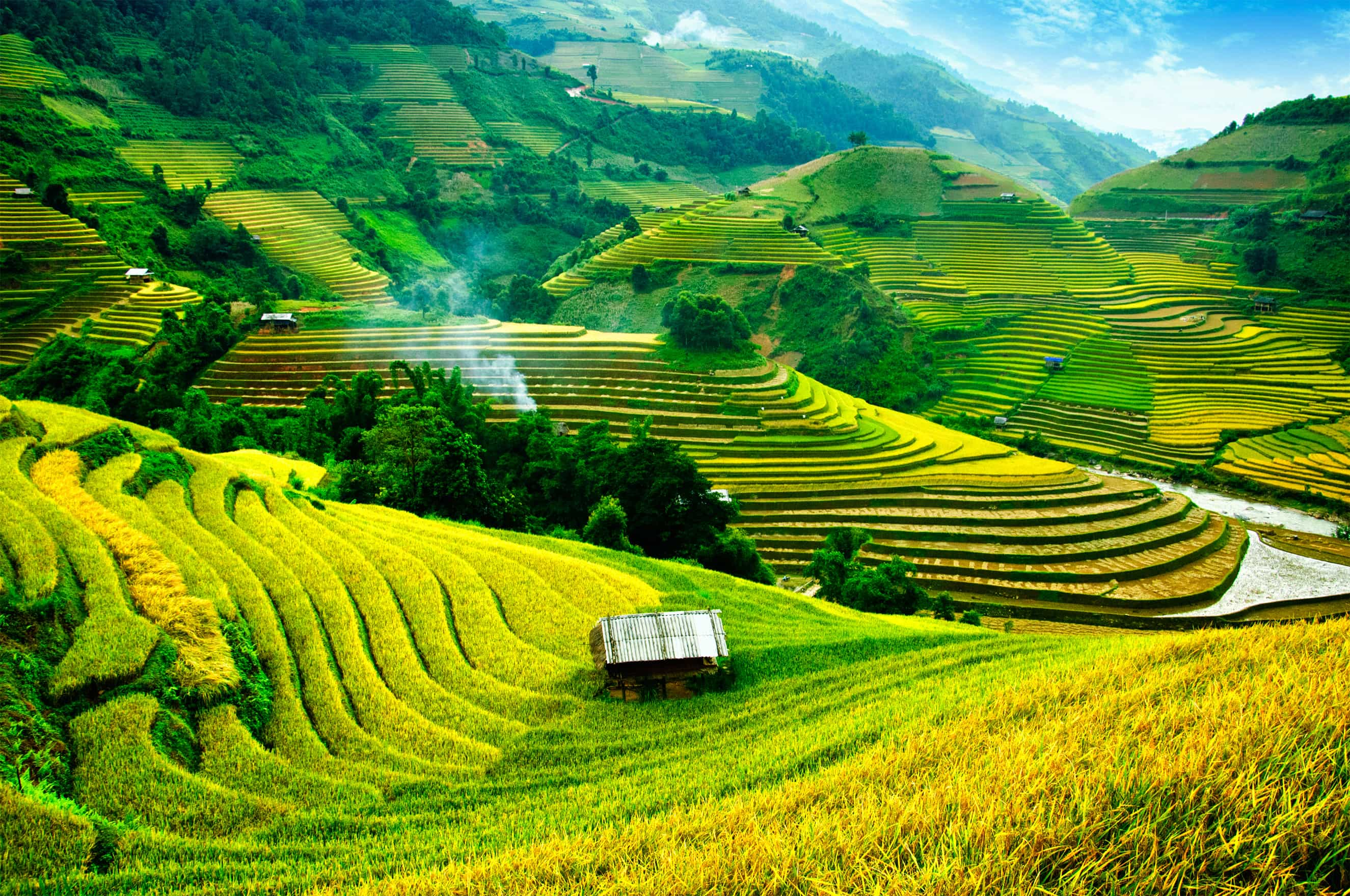 Vietnam indispensable - trip of   in  Vietnam