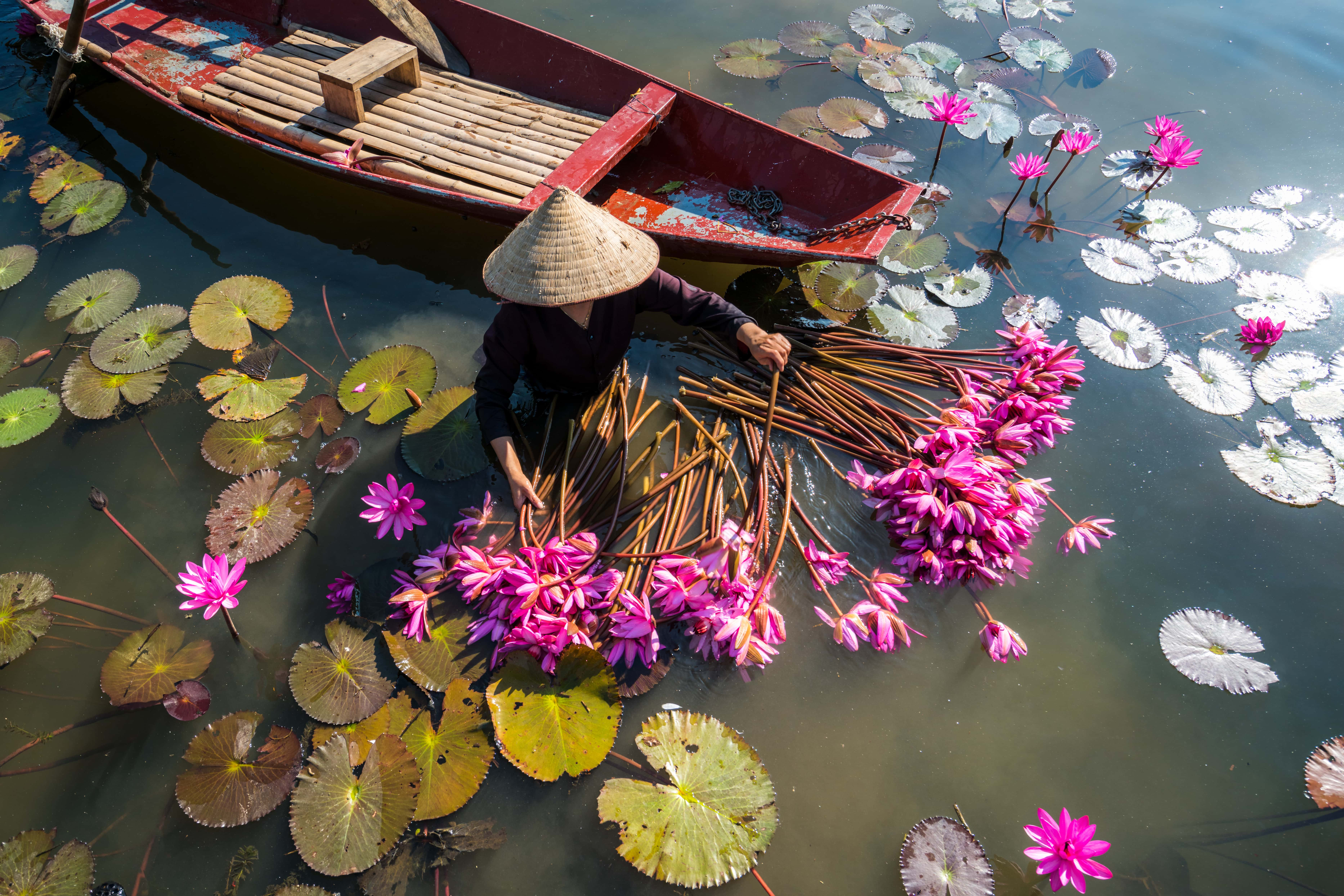 Cruise on the Mekong - trip of   in  Vietnam, Cambodia