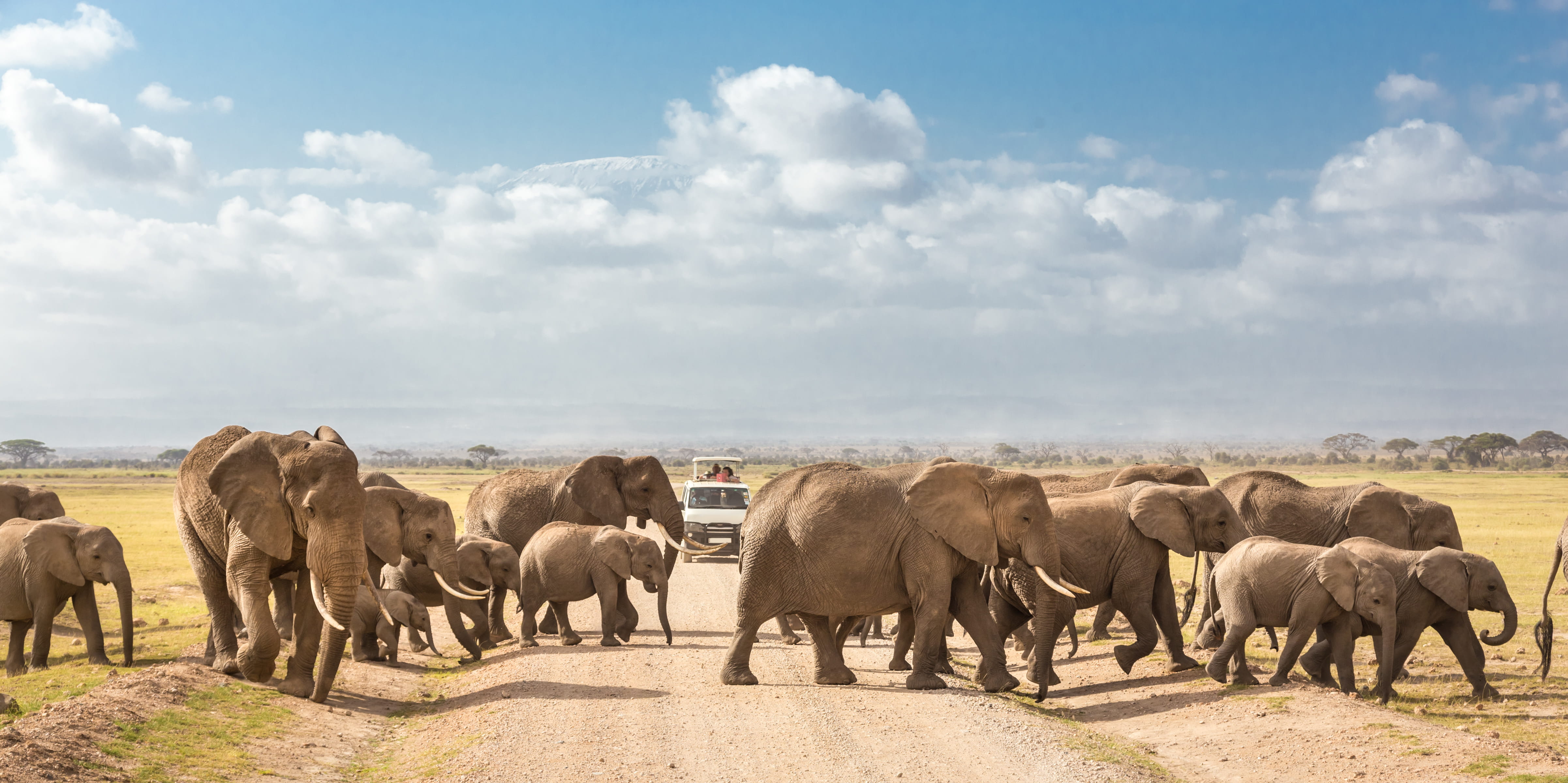 Buceo en Sudáfrica y safari - viaje de   en  Sudáfrica