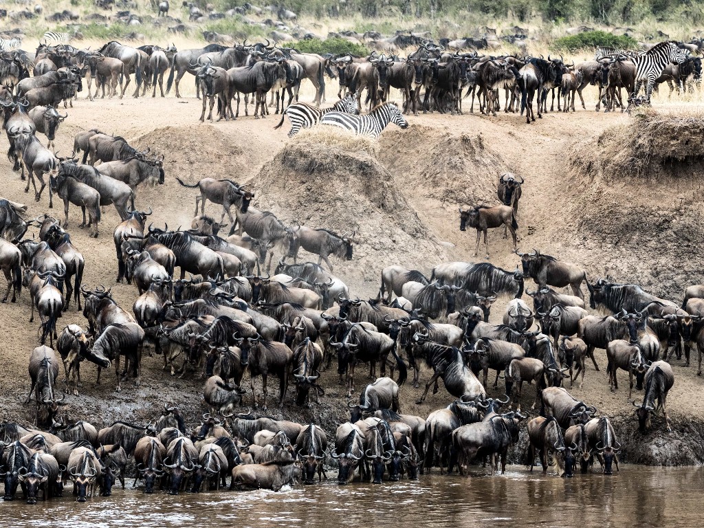 Kenia la Gran Migración