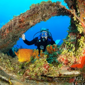 Buceo