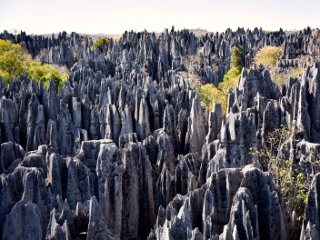 Madagascar, lémures y playas