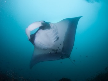 Archipiélago de Bazaruto