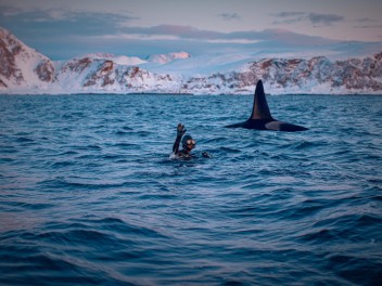 Orca Expedition Trip