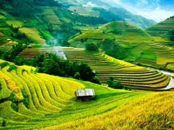 Vietnam indispensable